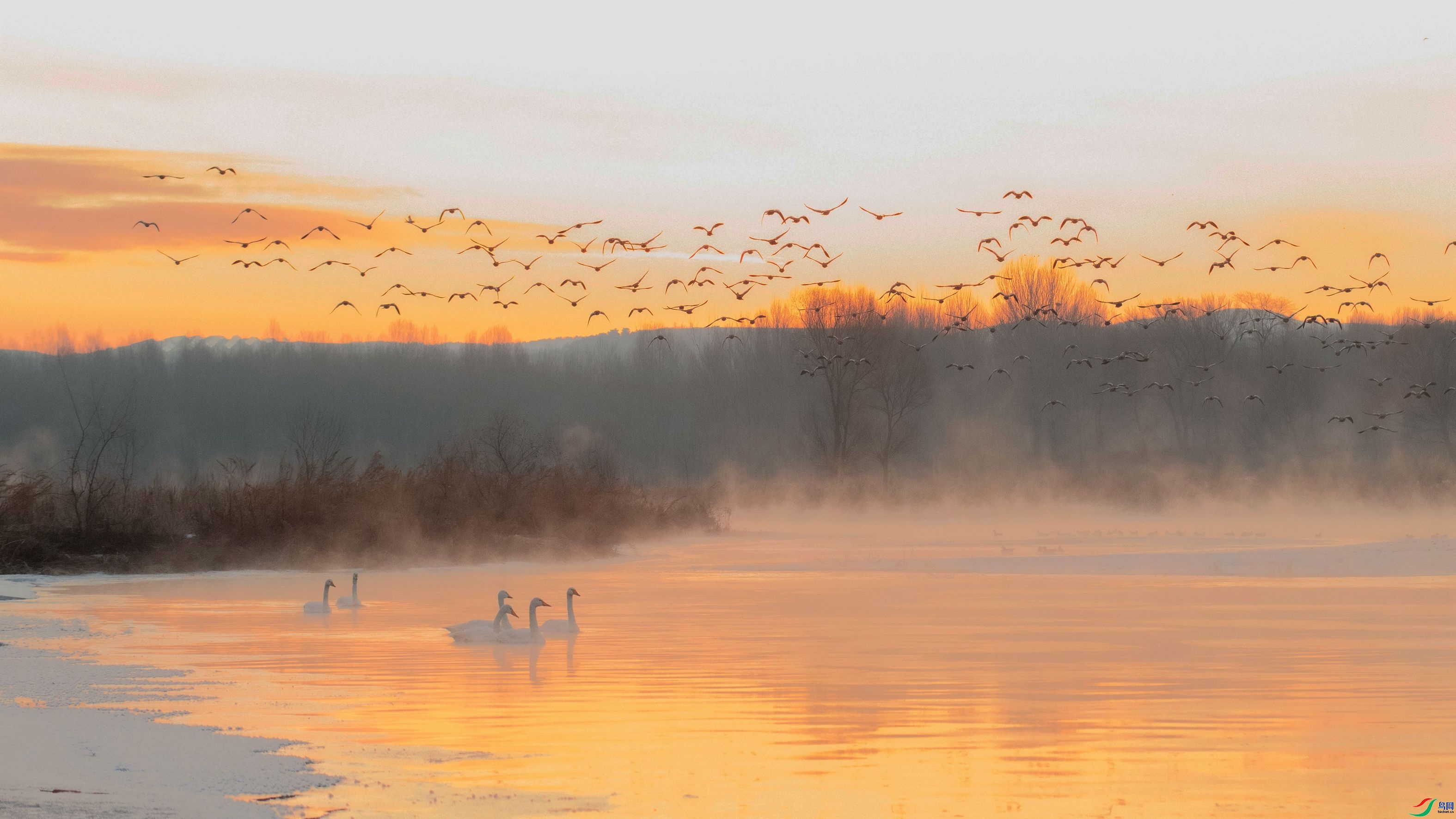 ӭ���´� ���� �����ү  ����.jpg