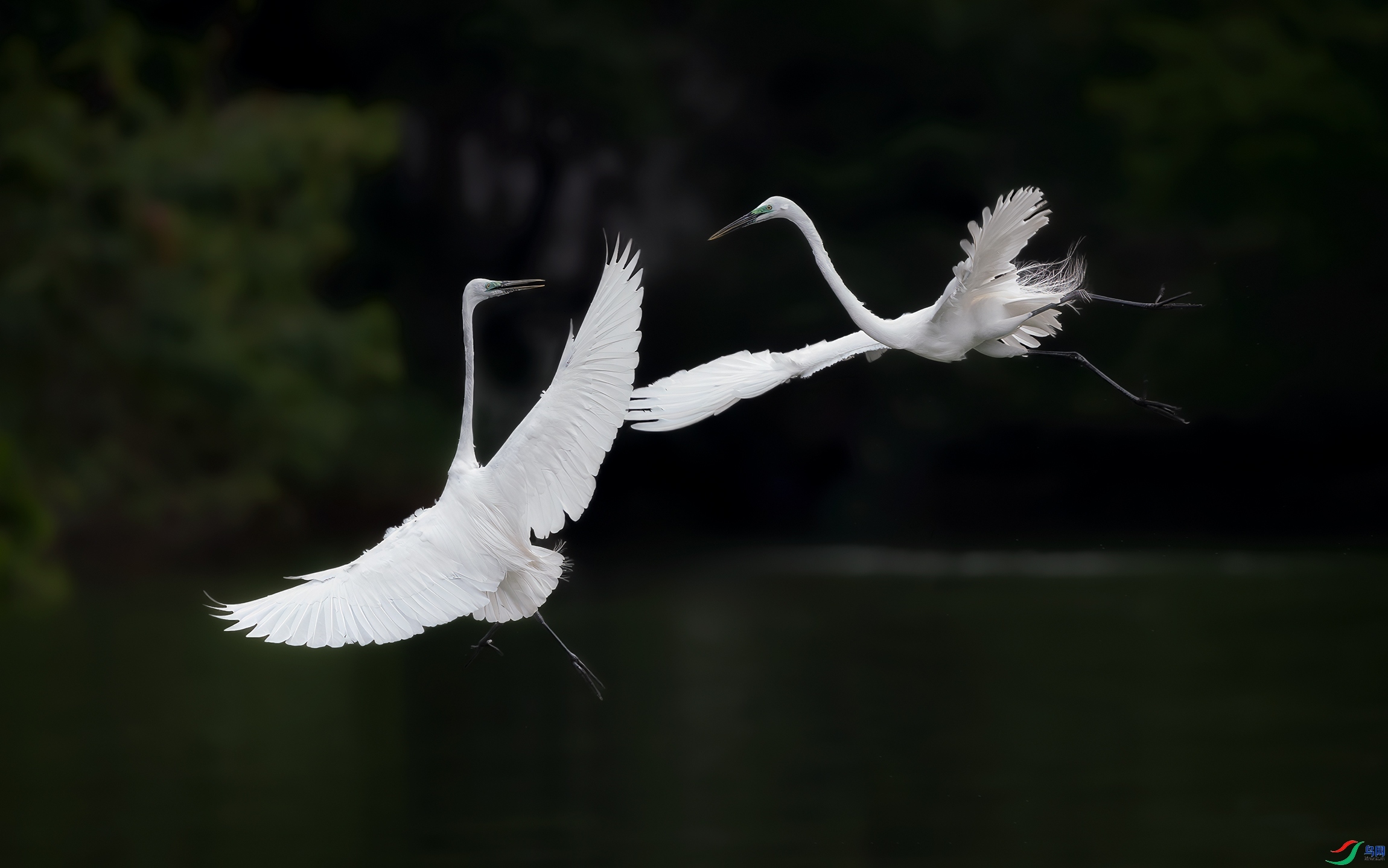 �ؼҹ�����  ���� ����Ӱ ����.jpg