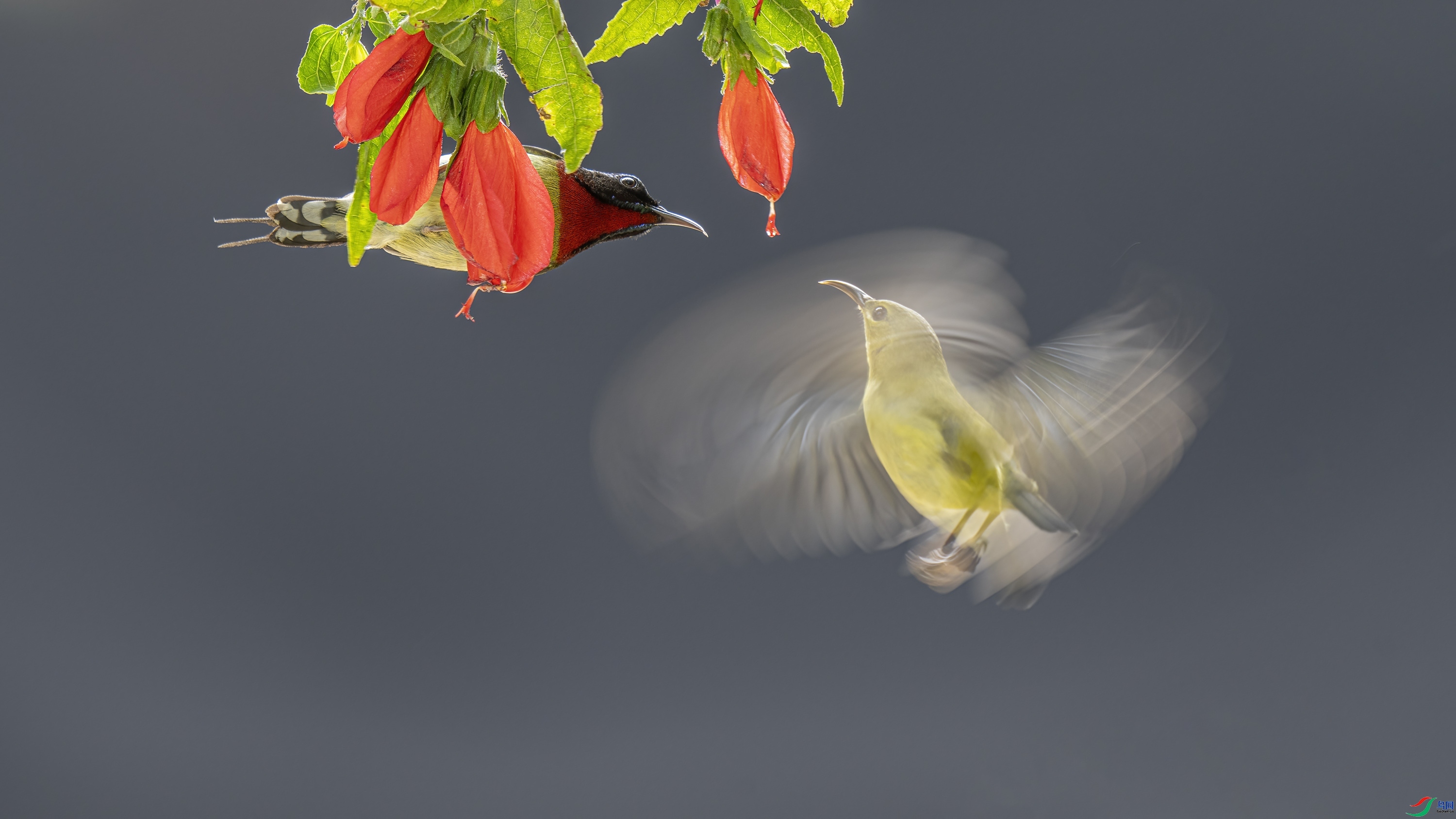 �ҵ���ӭ����  ���� ����  ����.jpg
