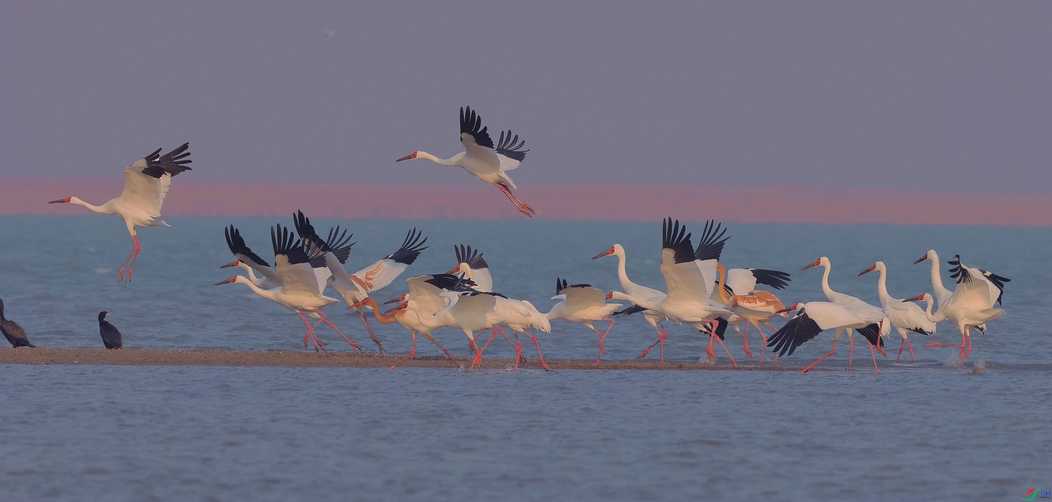 ����׳�  ����  ����.jpg