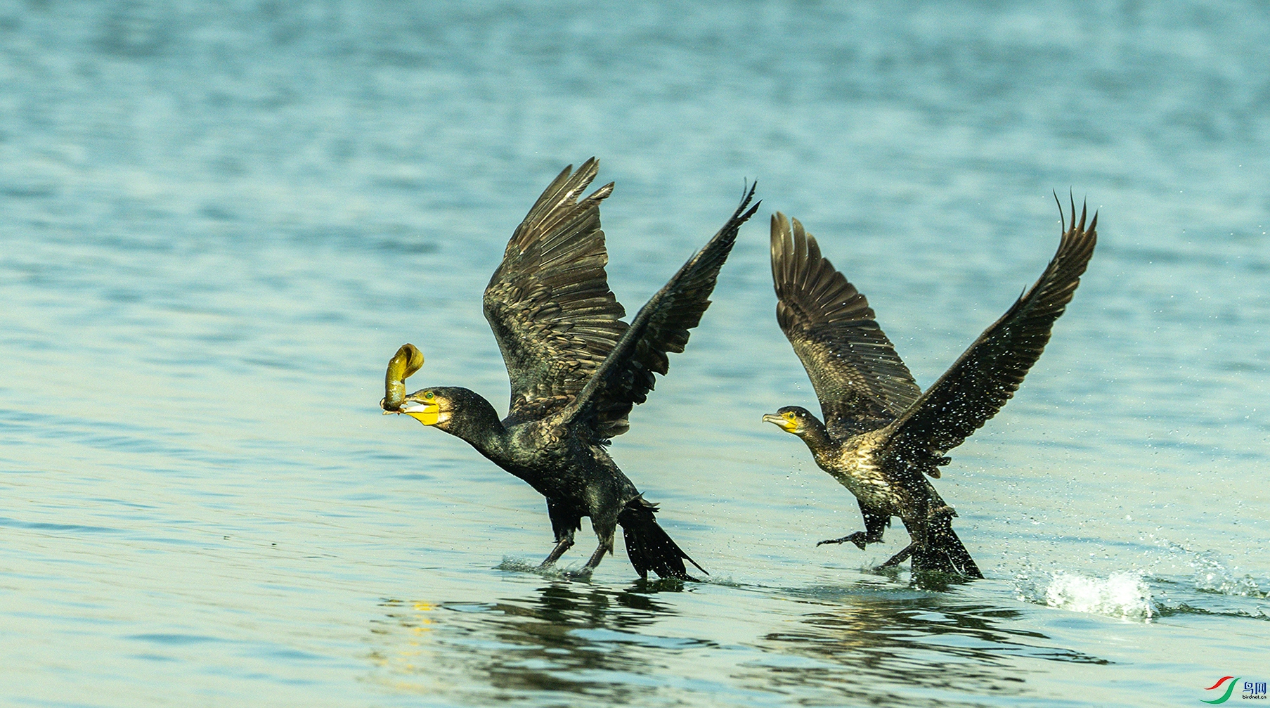 1056 ����.jpg