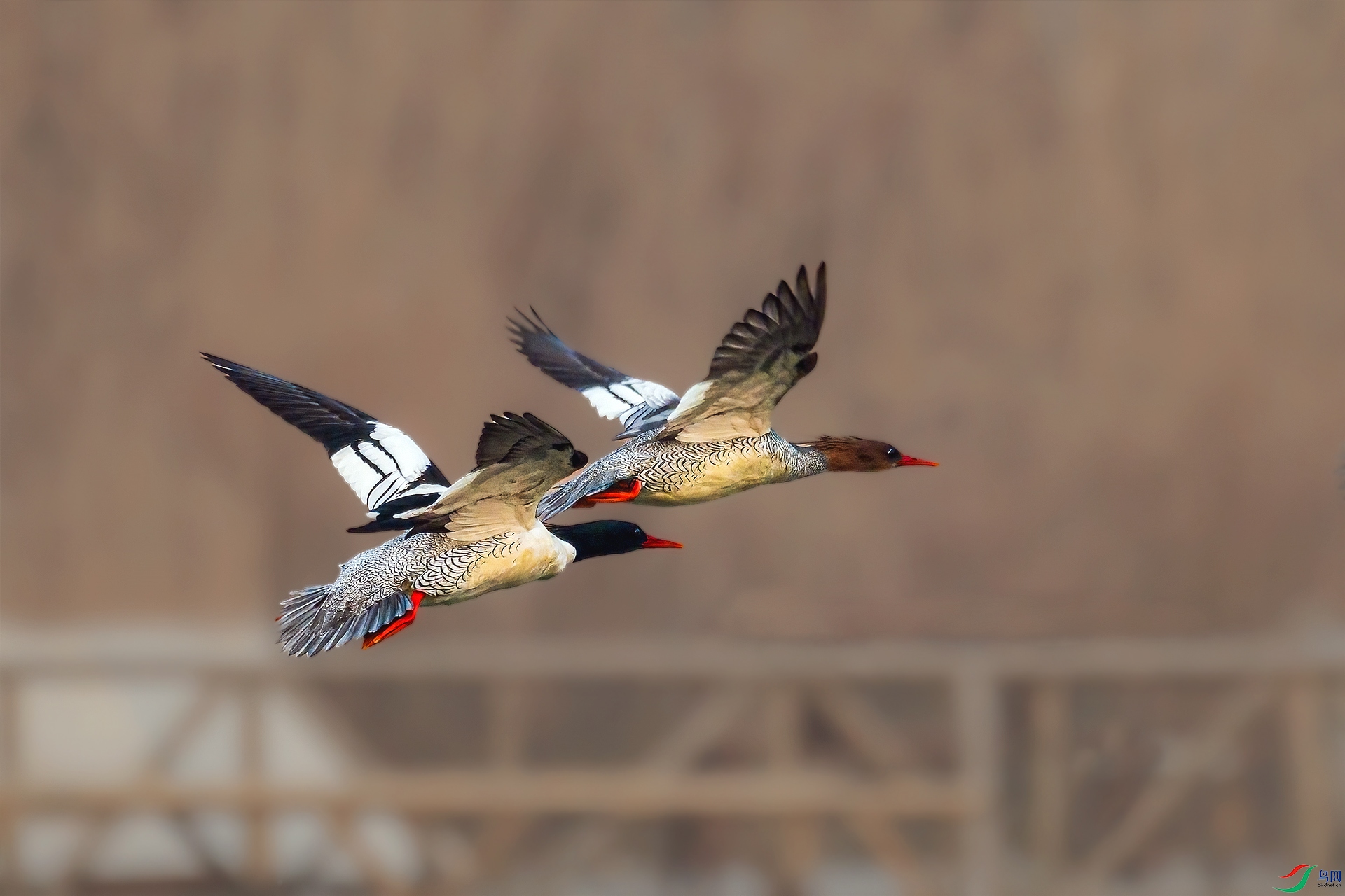 _DSC1752 ����.jpg