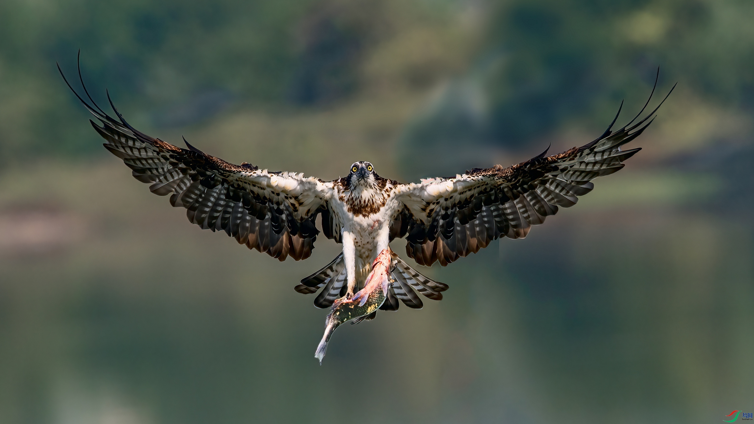 ��Ƭ_DSC2674 ����.jpg