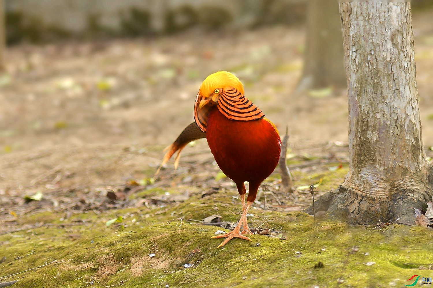DSC_6247.jpg