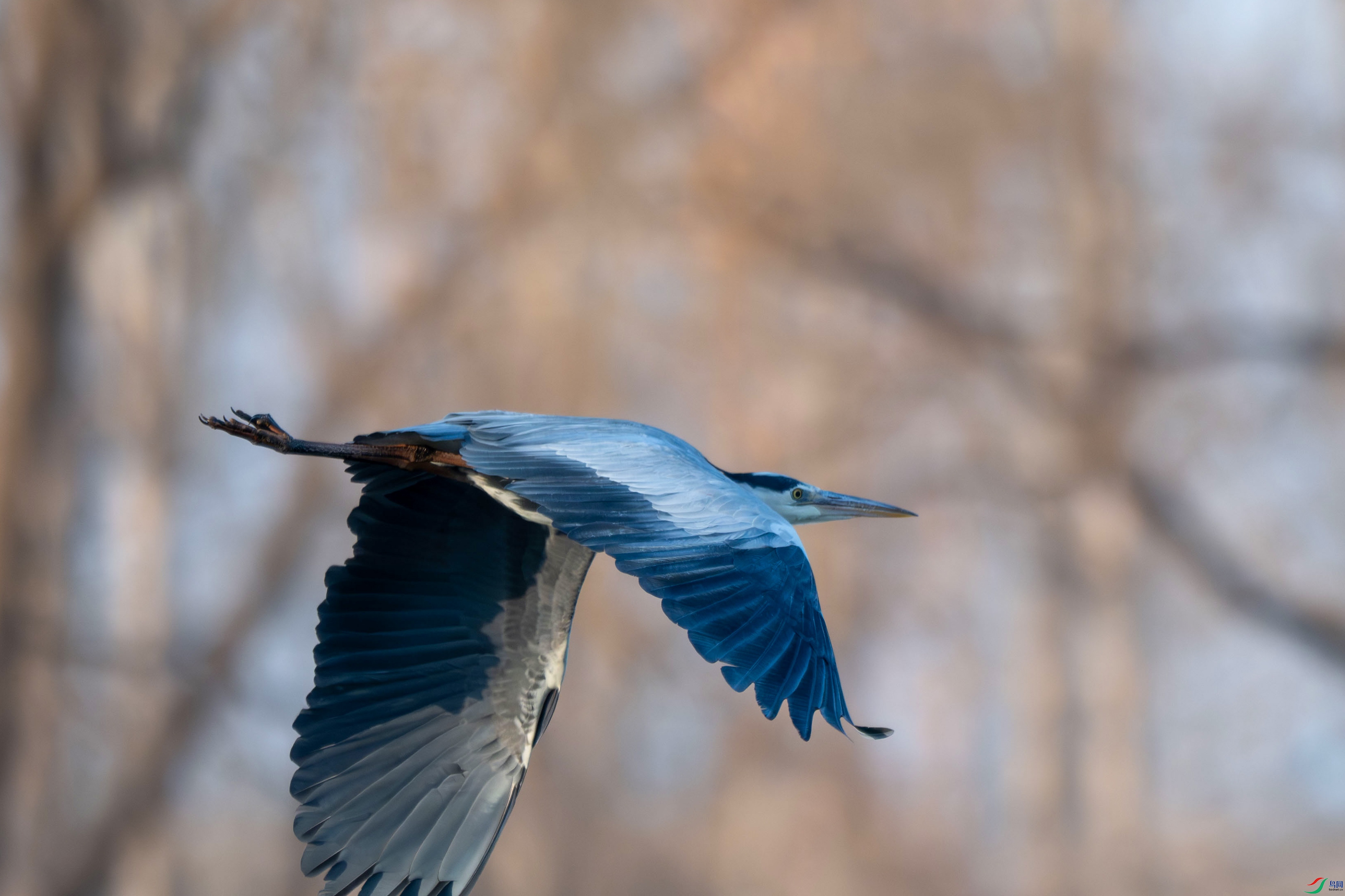 DSC_8750.jpg