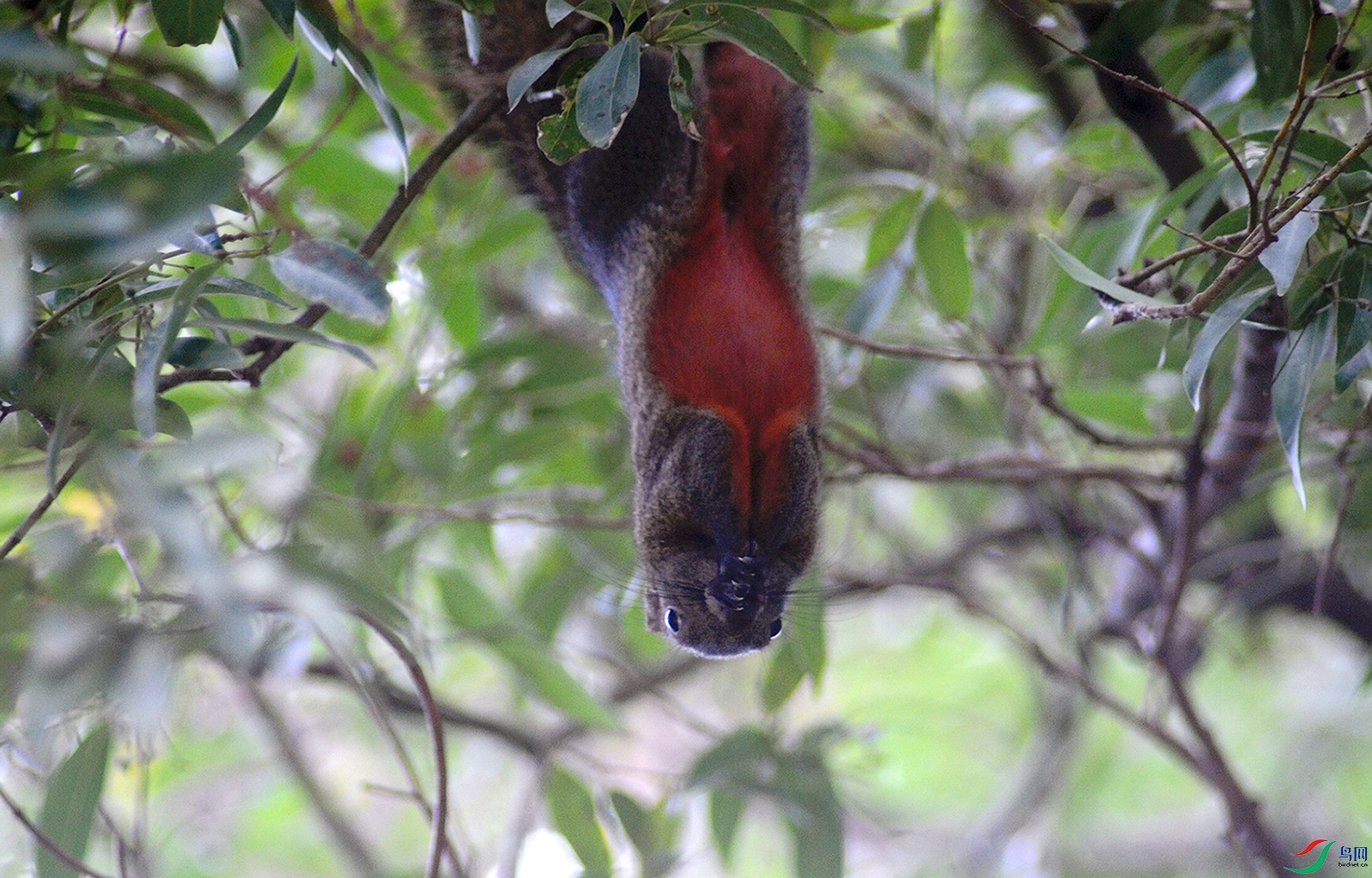 DSC_1405_.jpg