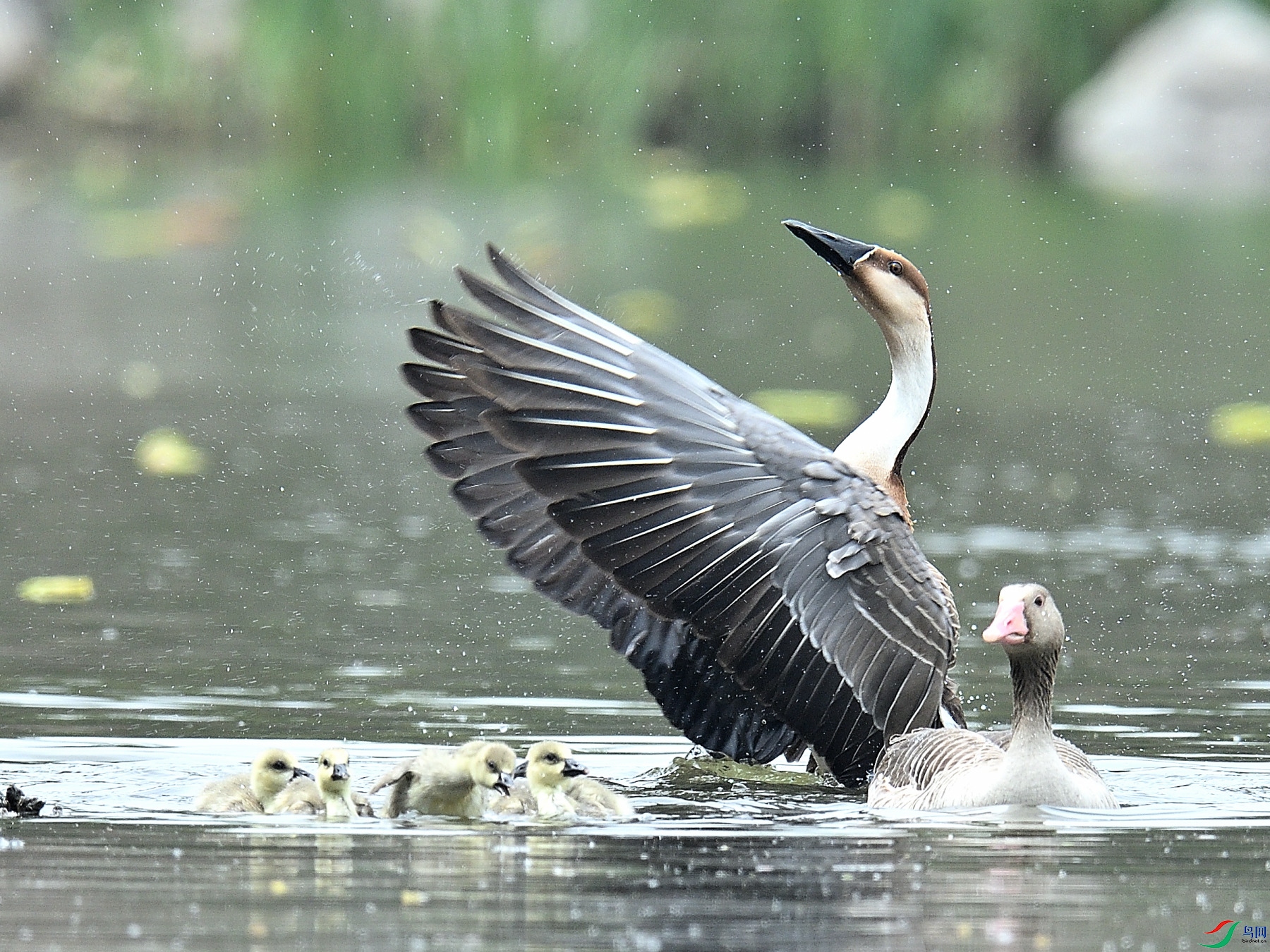 DSC_2004.JPG