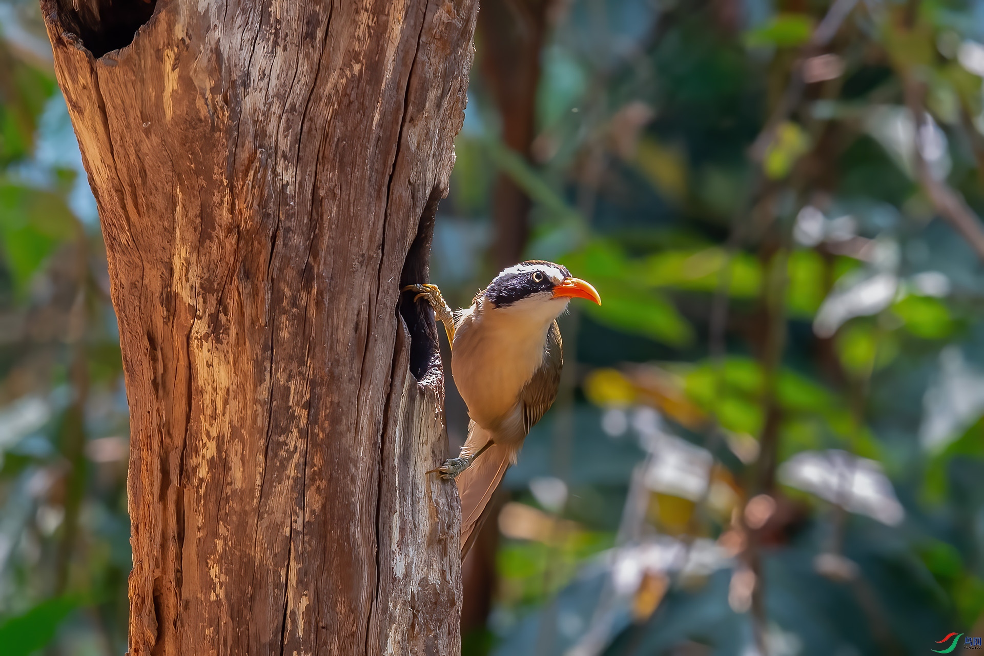 DSC_6022.jpg