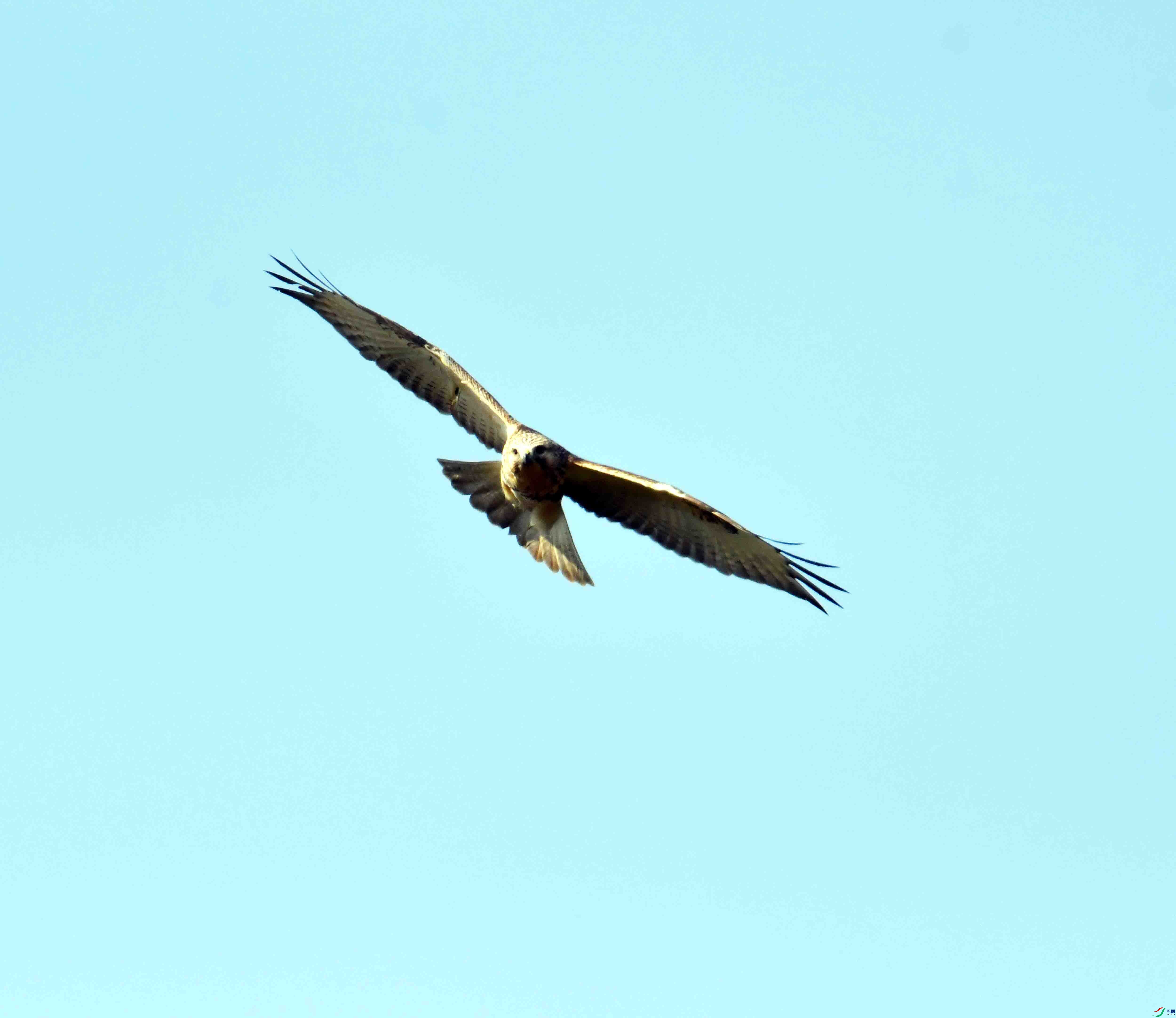 DSC_0528.JPG