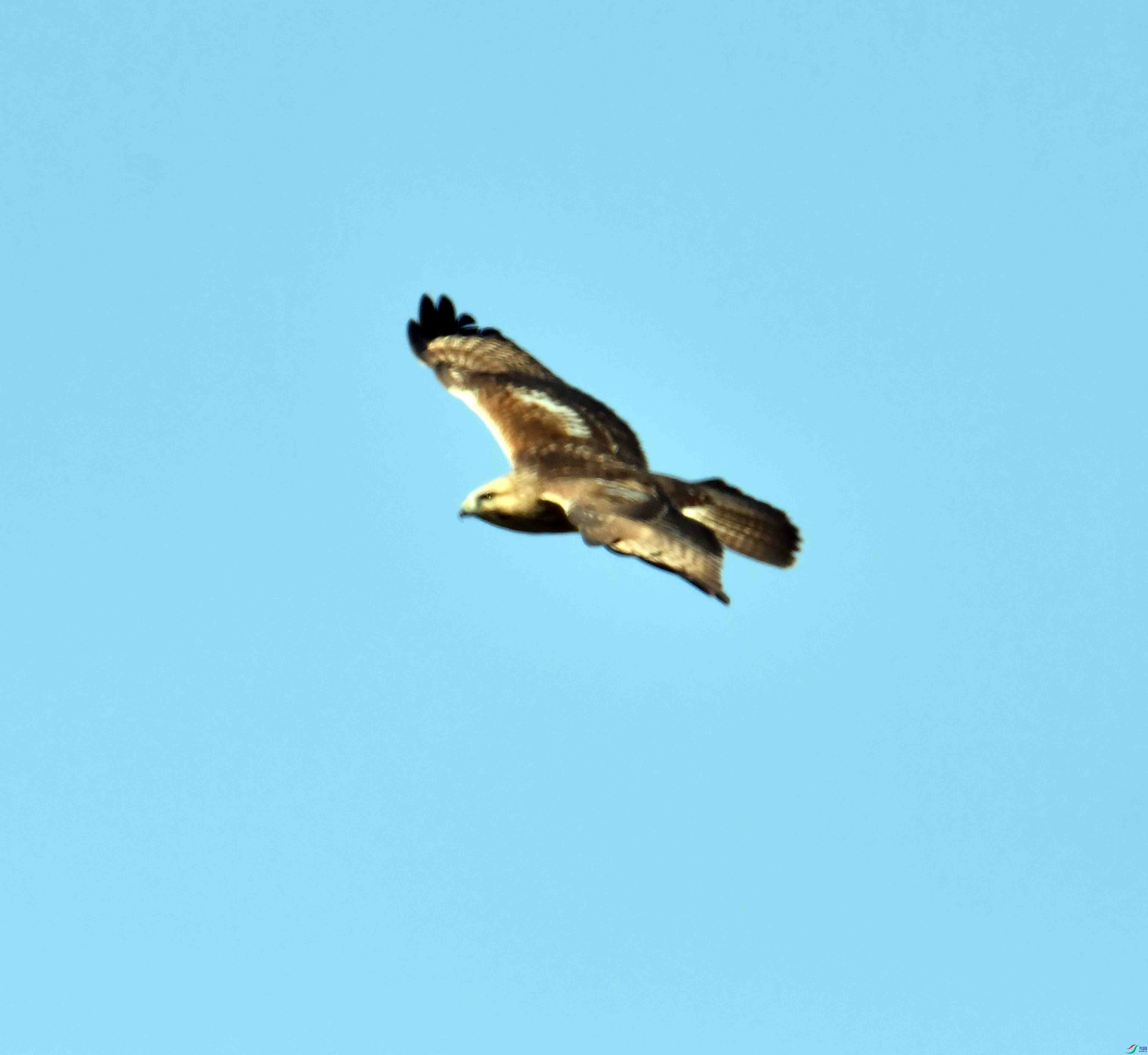 DSC_0527.JPG