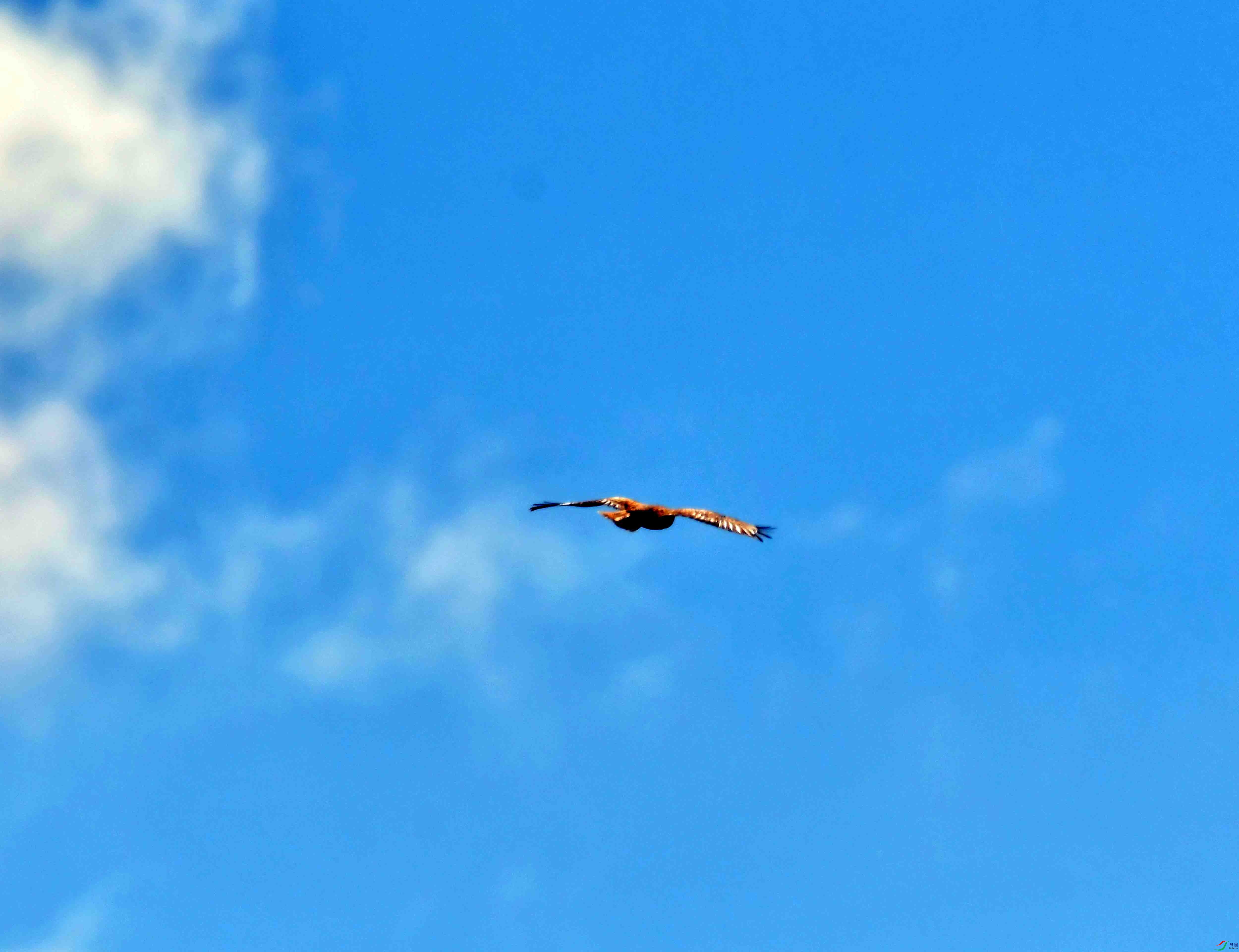 DSC_9184.JPG