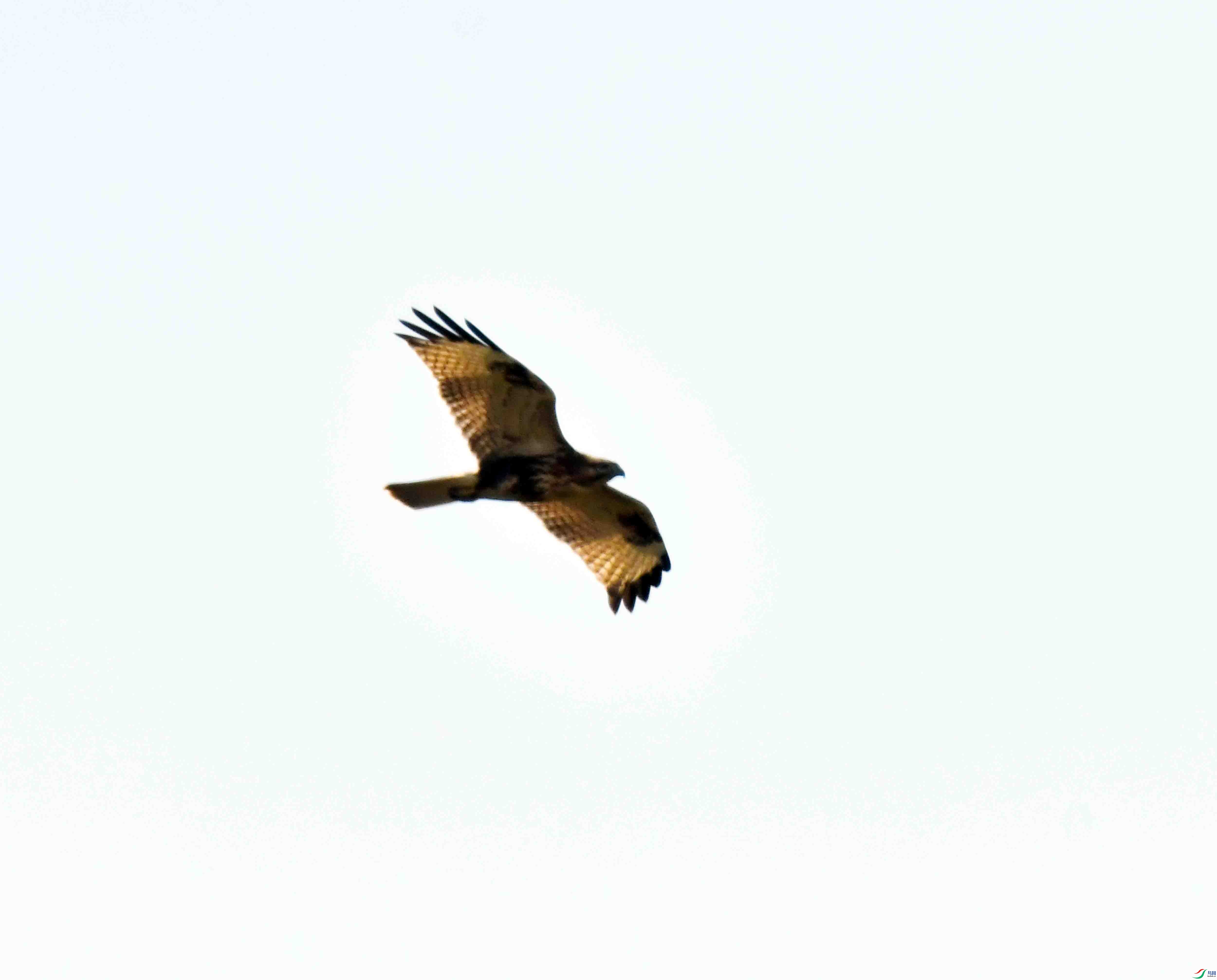 DSC_9189.JPG
