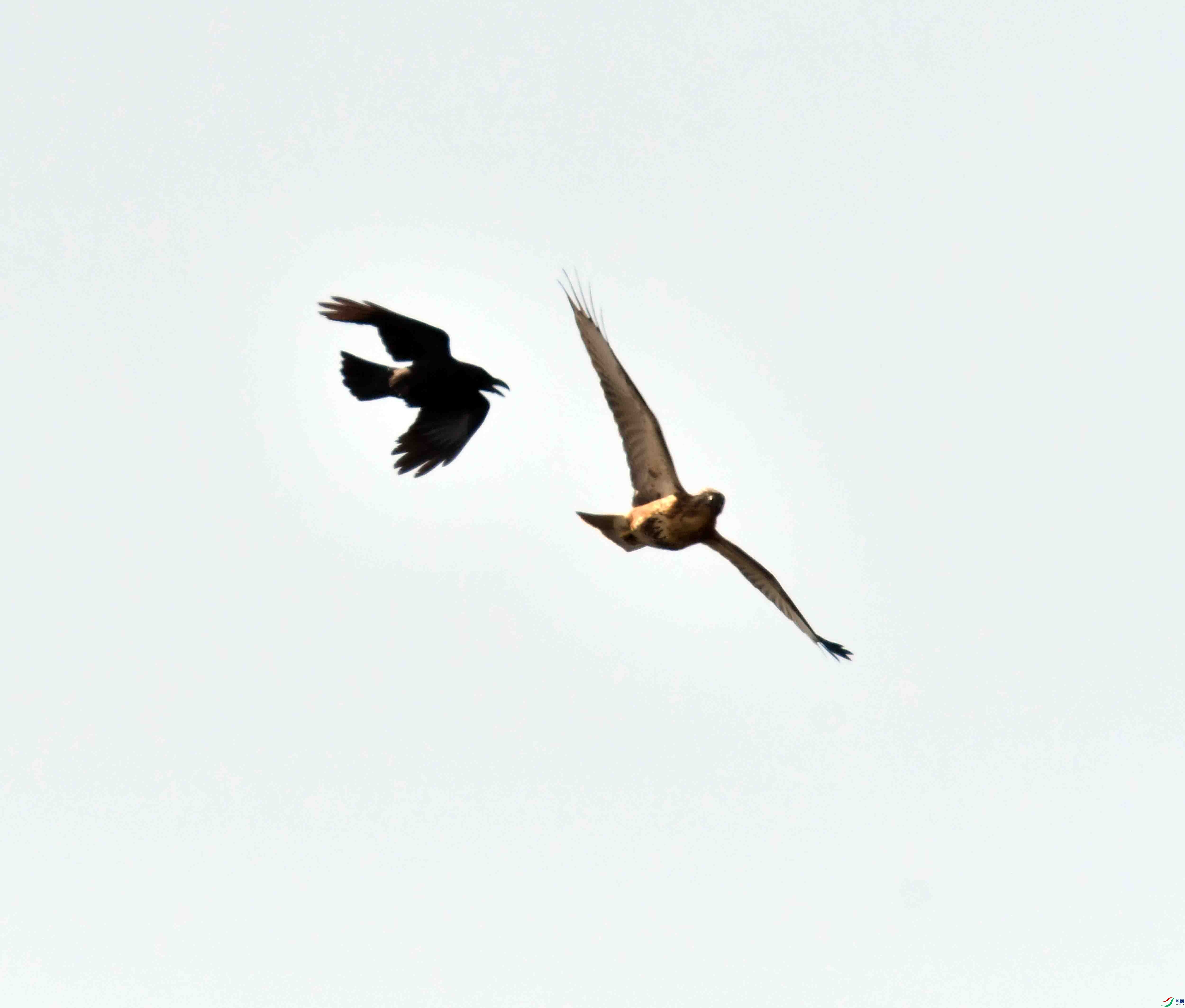 DSC_9192.JPG