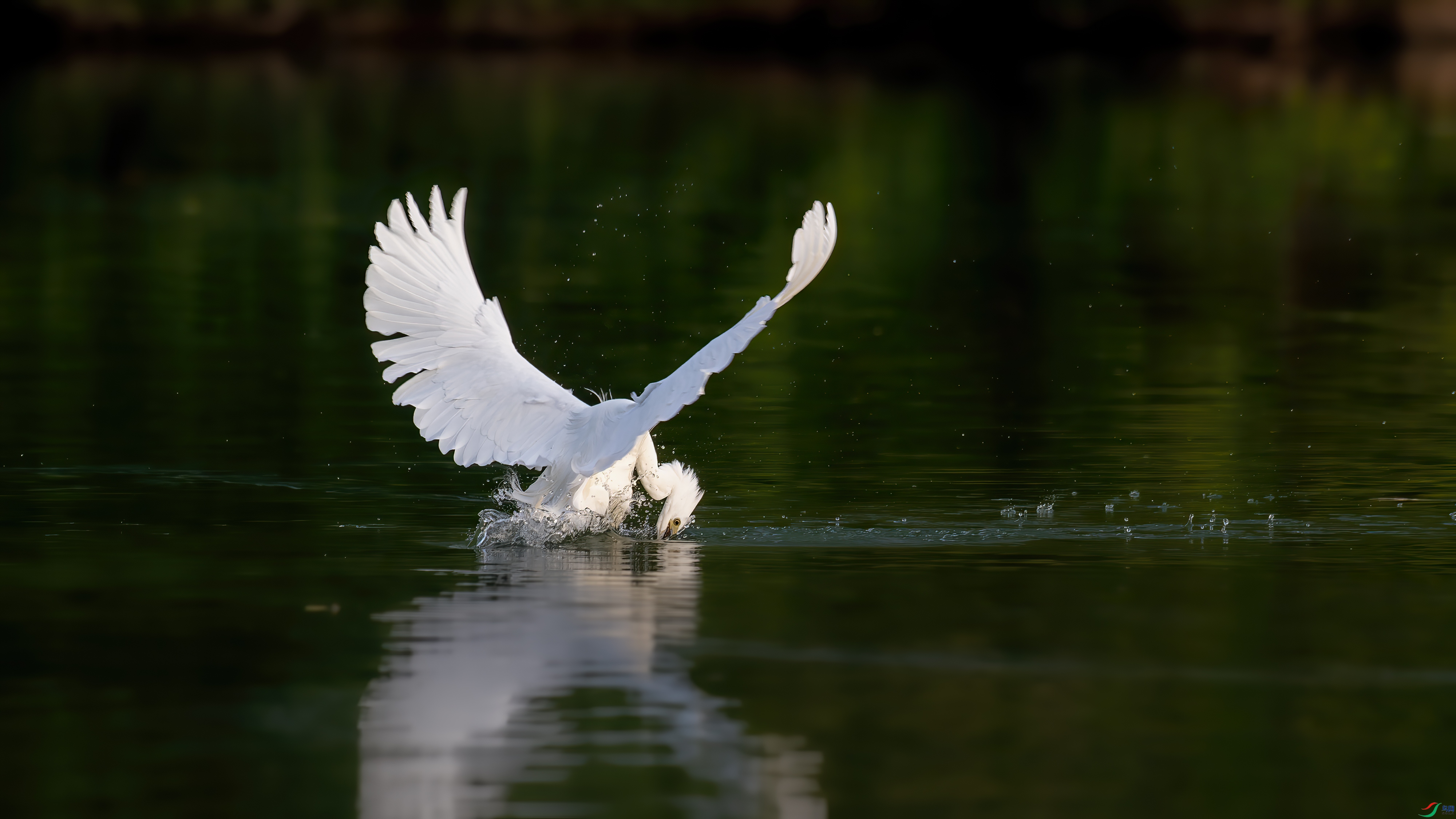 DSC_0905.jpg
