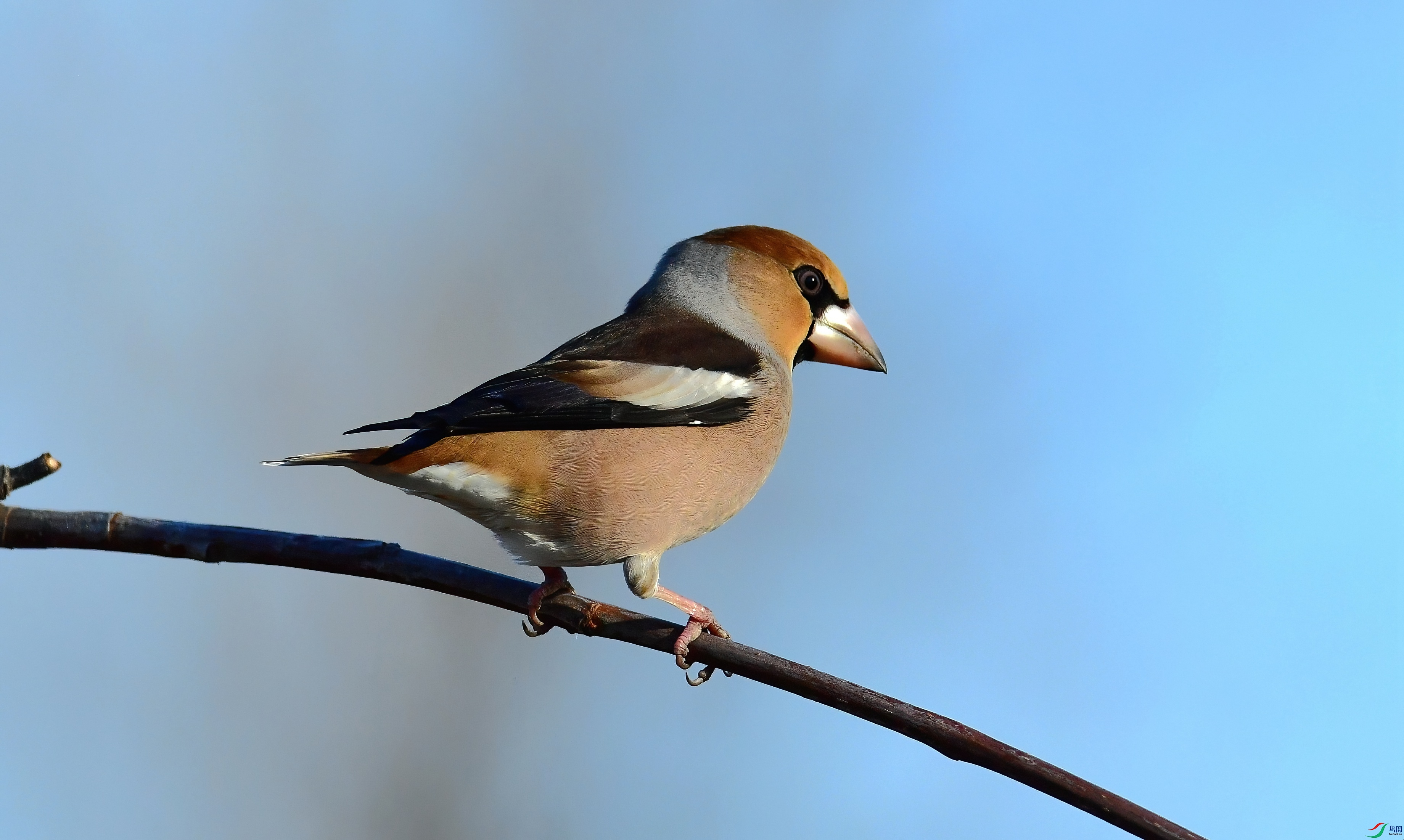 WZL_7739.jpg