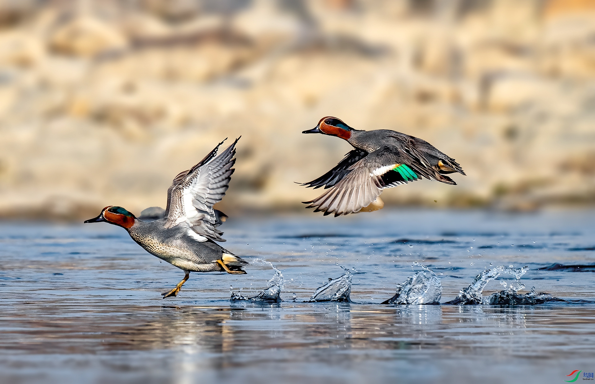 DSC_6400 ����_����.jpg