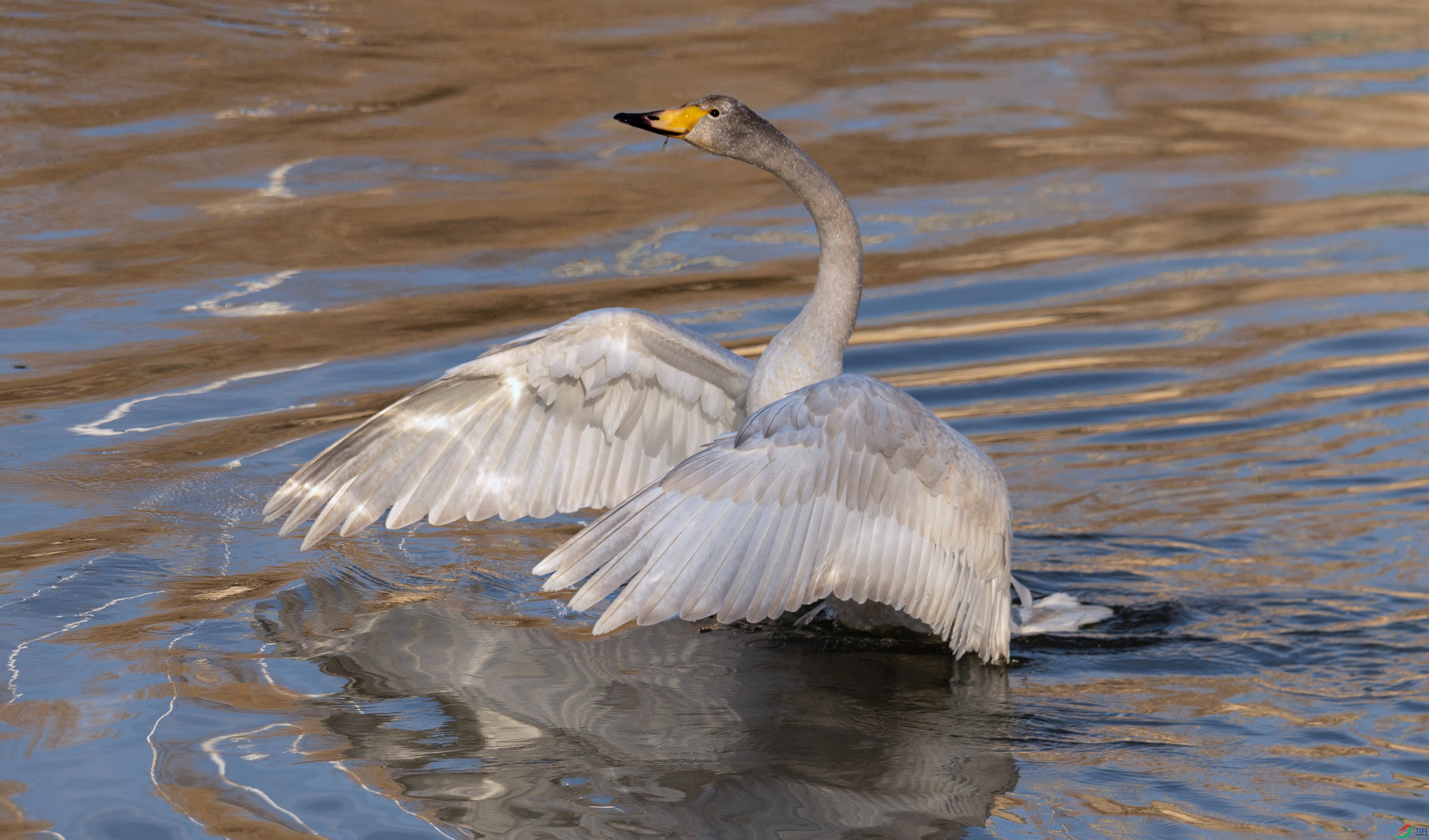 7X5A6000 - ����.jpg