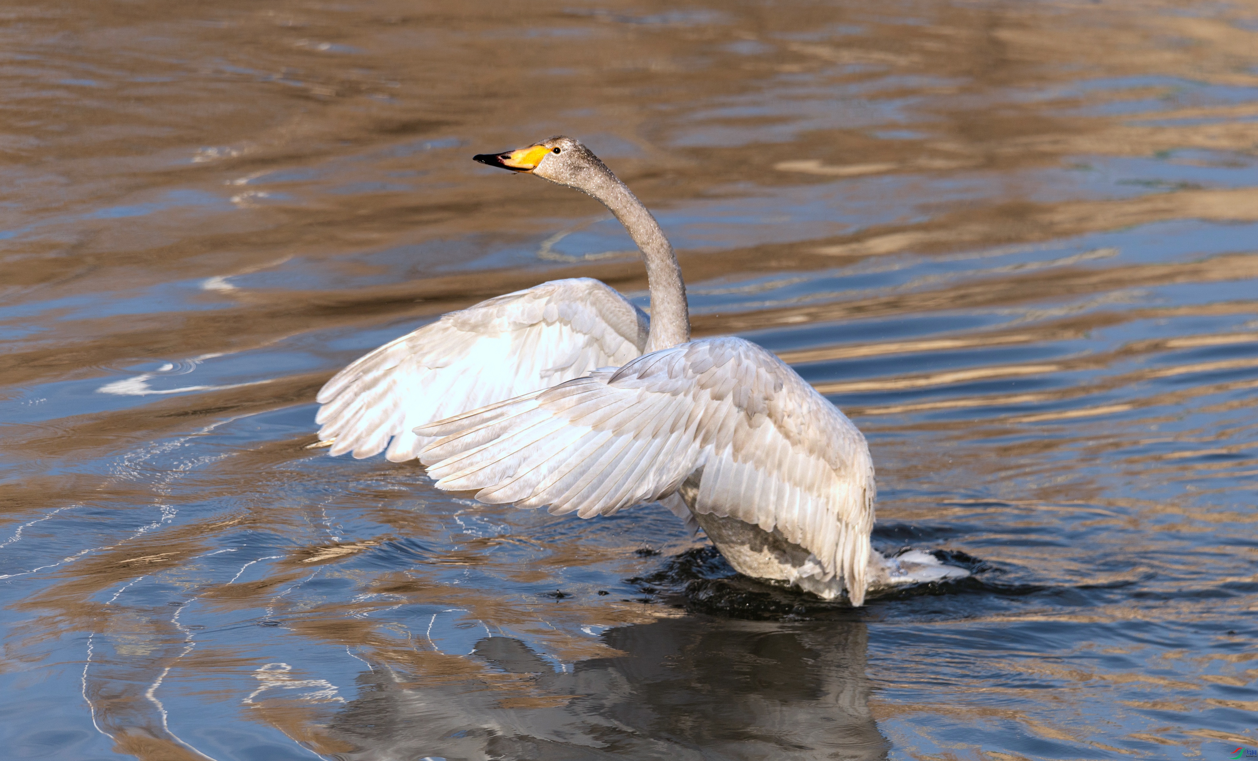 7X5A6005 - ����.jpg