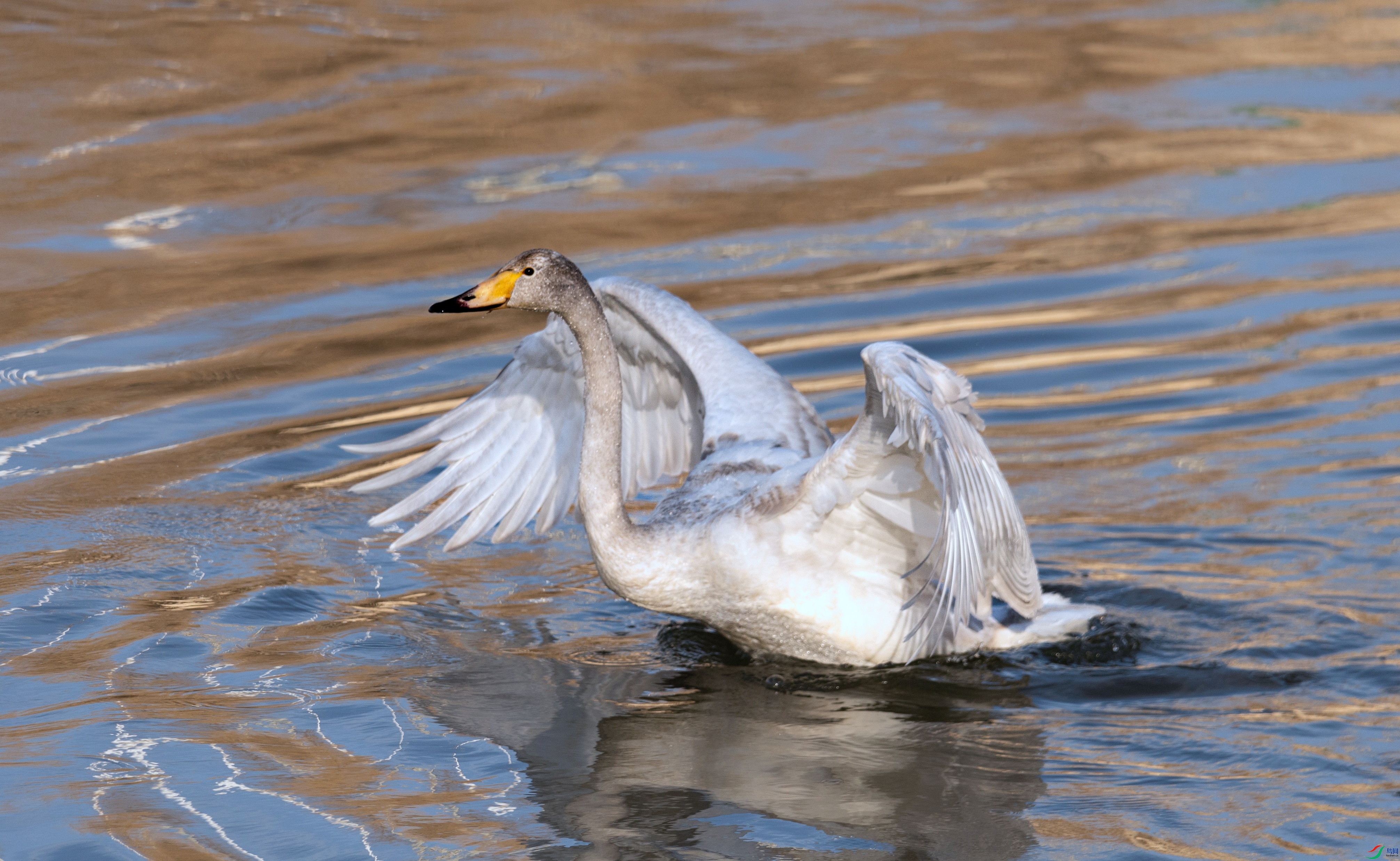 7X5A6012 - ����.jpg