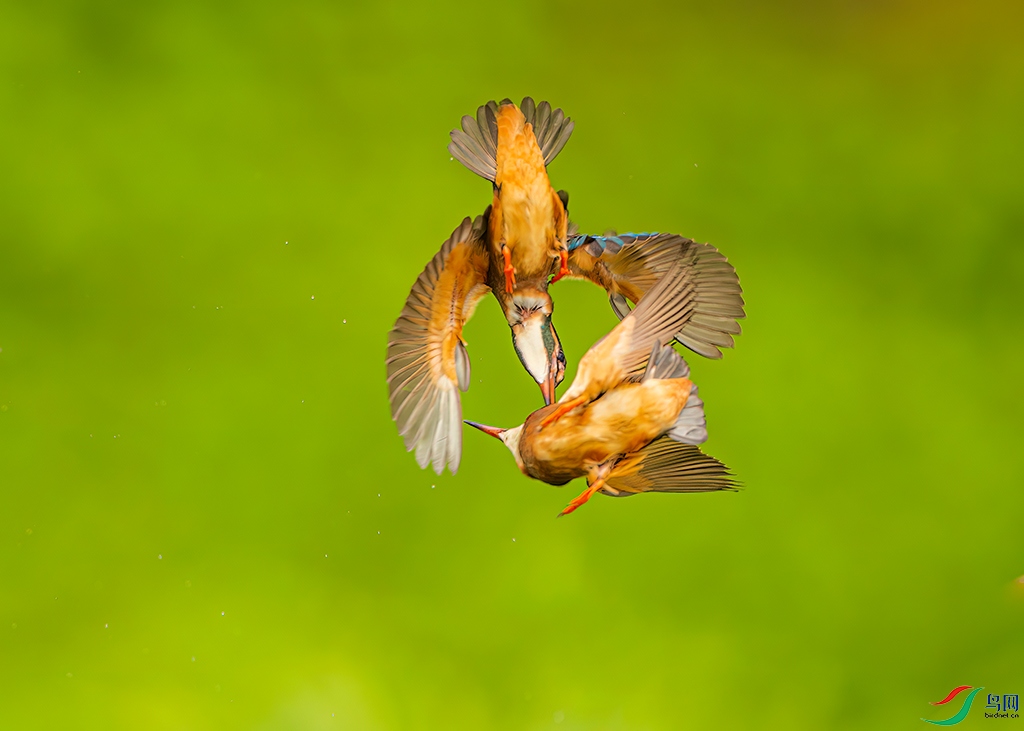 sdwfR 220813 (2591).jpg