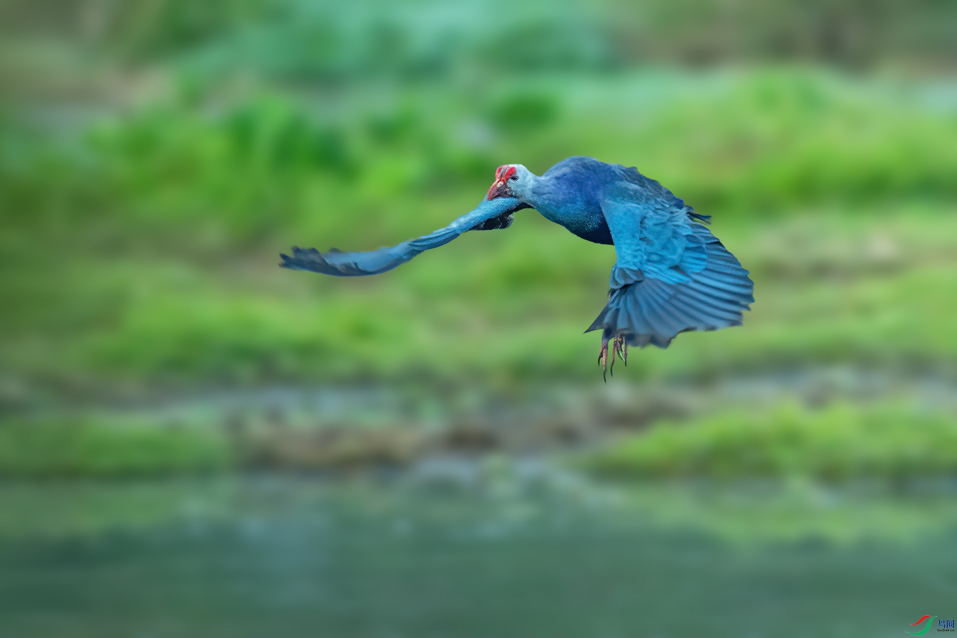 DSC_5587.jpg