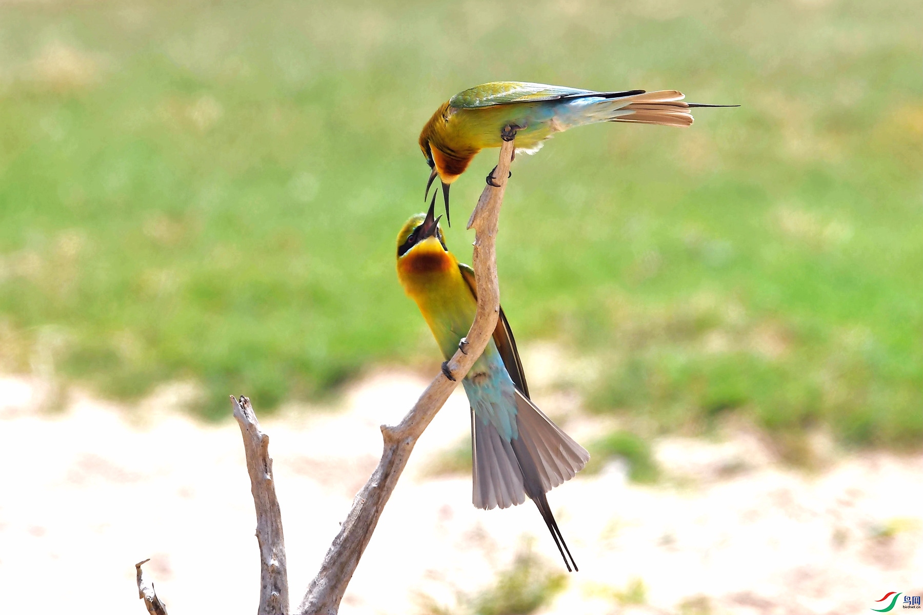 DSC_8689_����.jpg