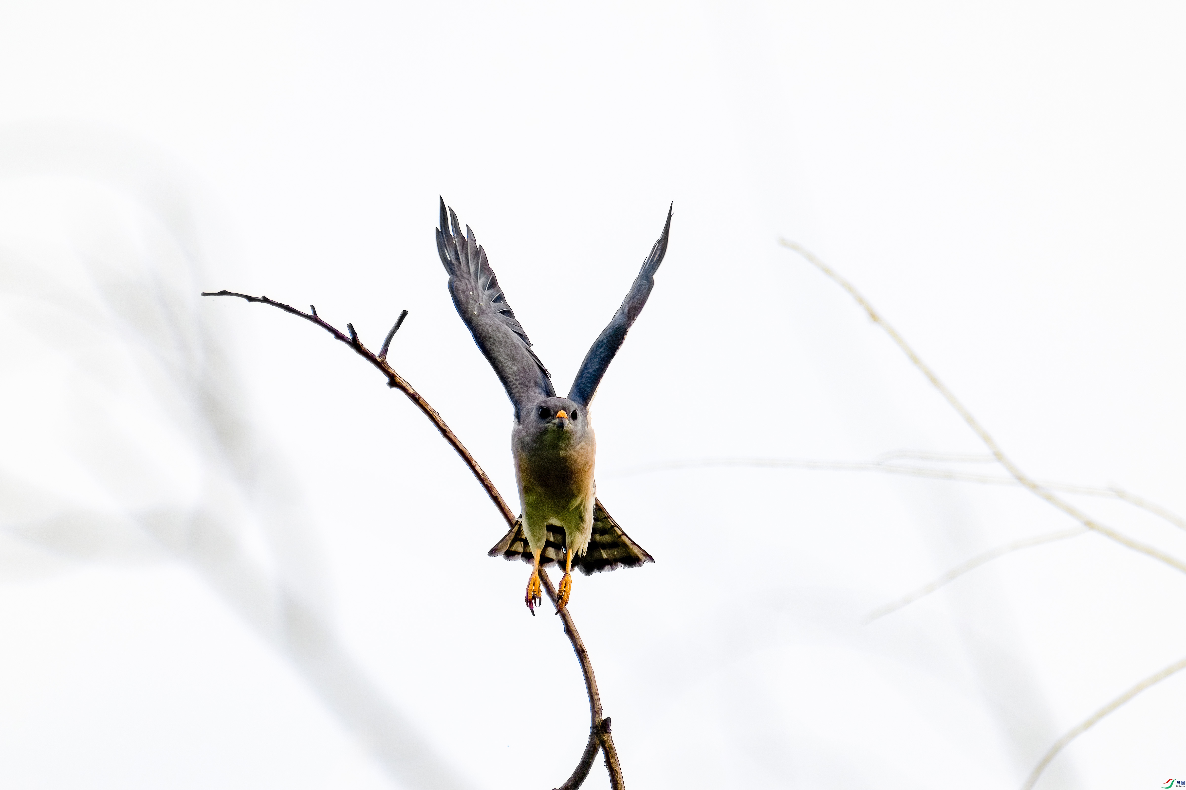 _DSC6655.jpg