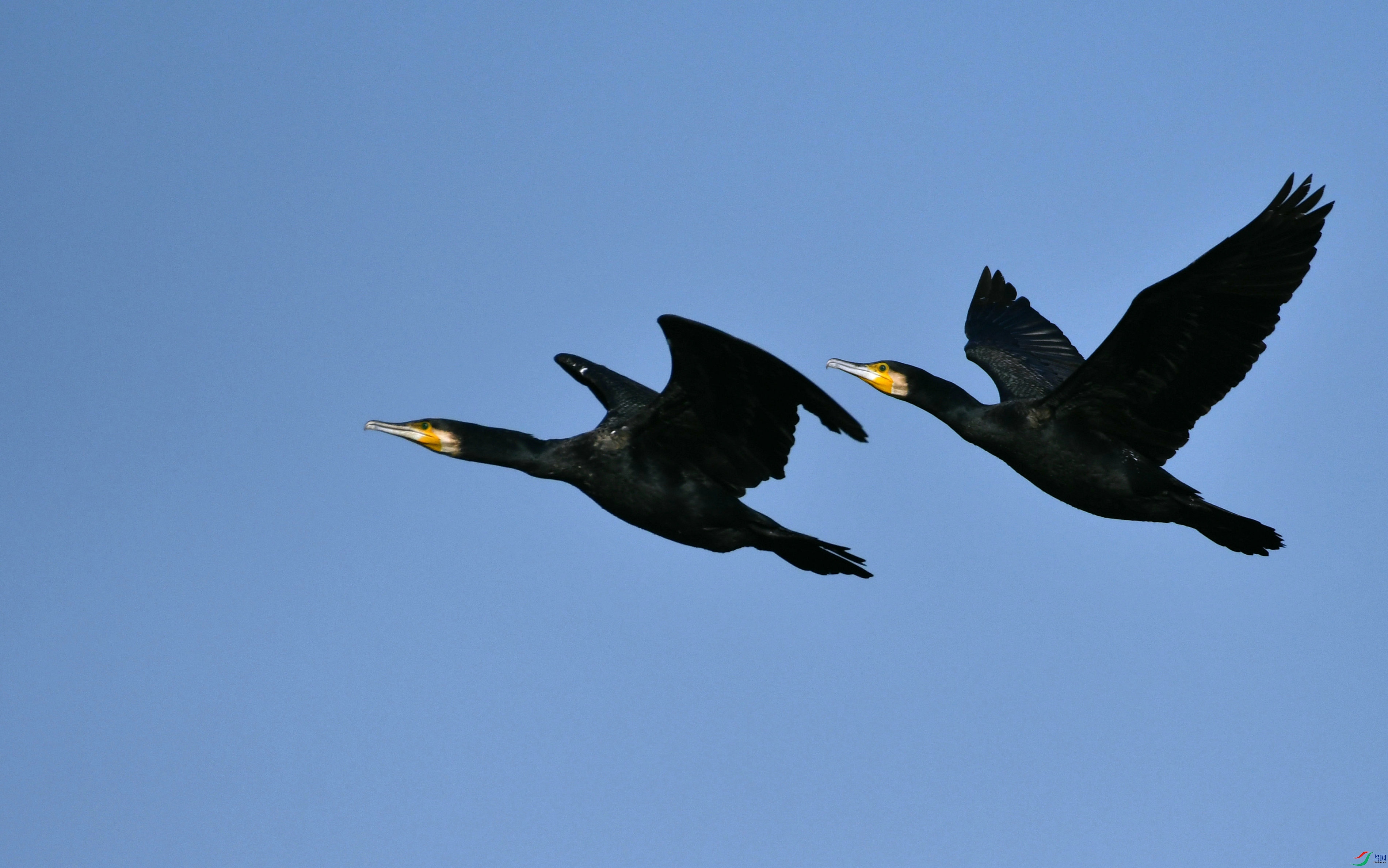 DSC_6912.JPG