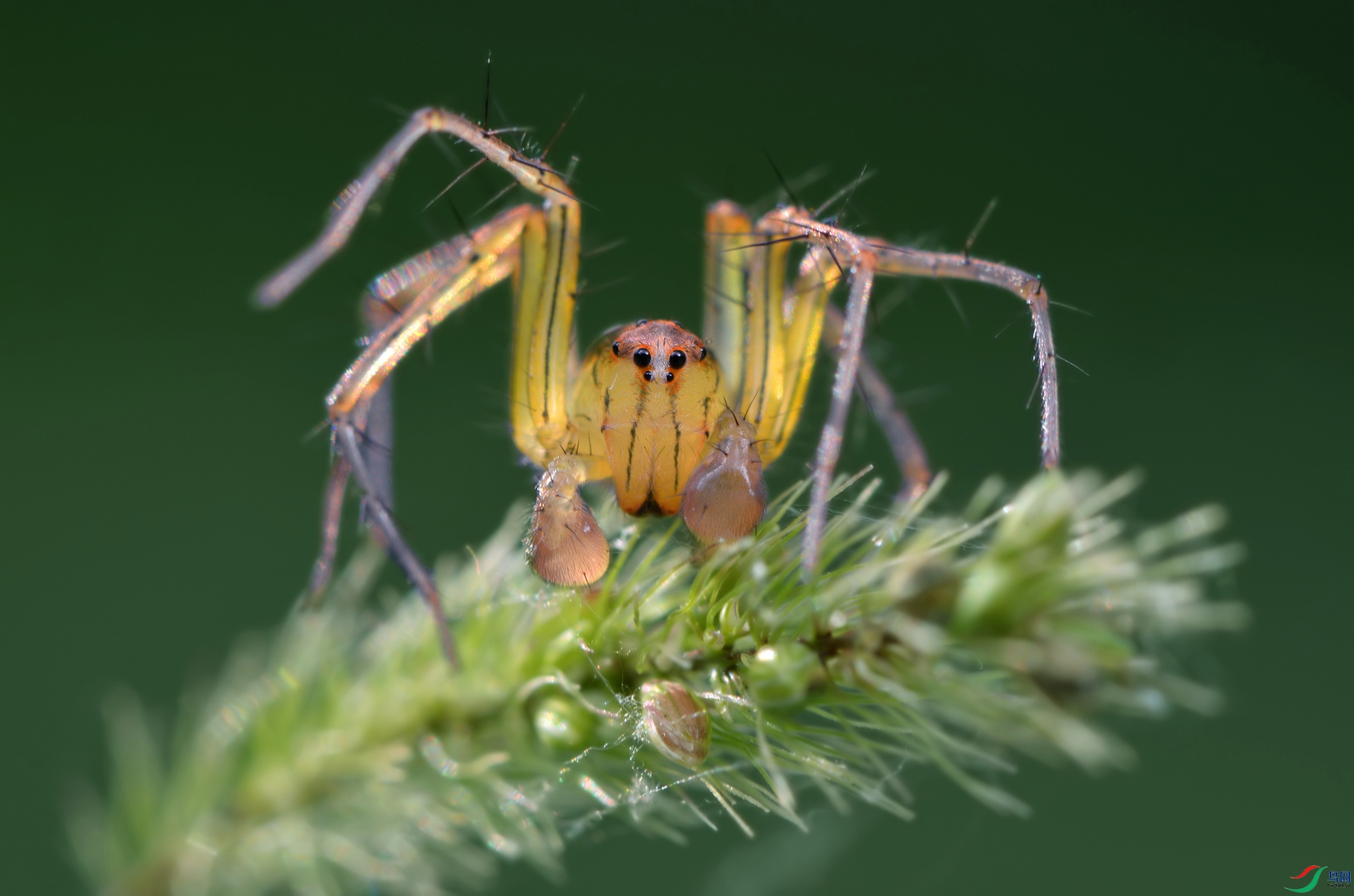 DSC_7863 ����..JPG