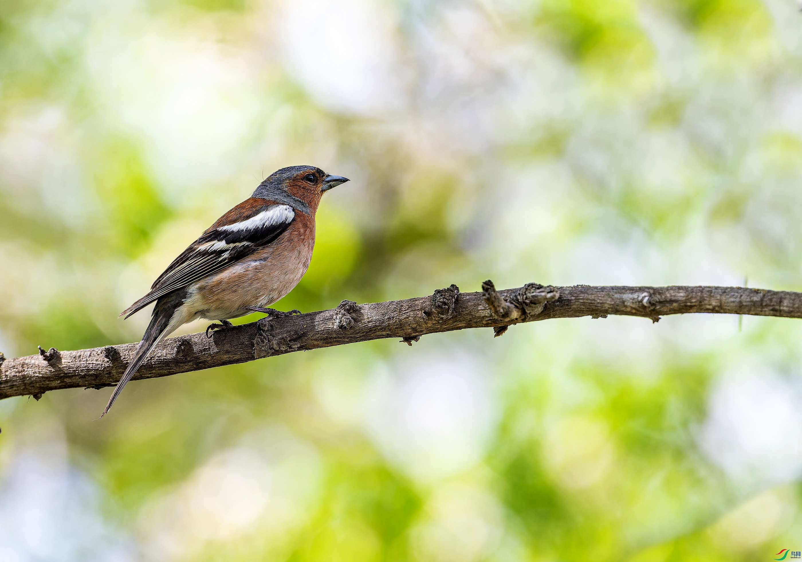 ��ͷ��ȸ (9)-1.jpg