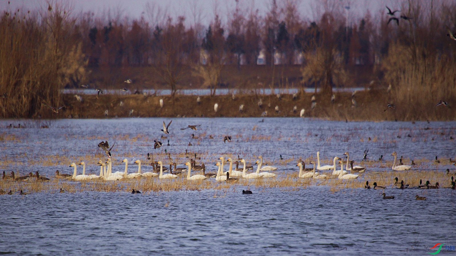 _MG_5260.JPG