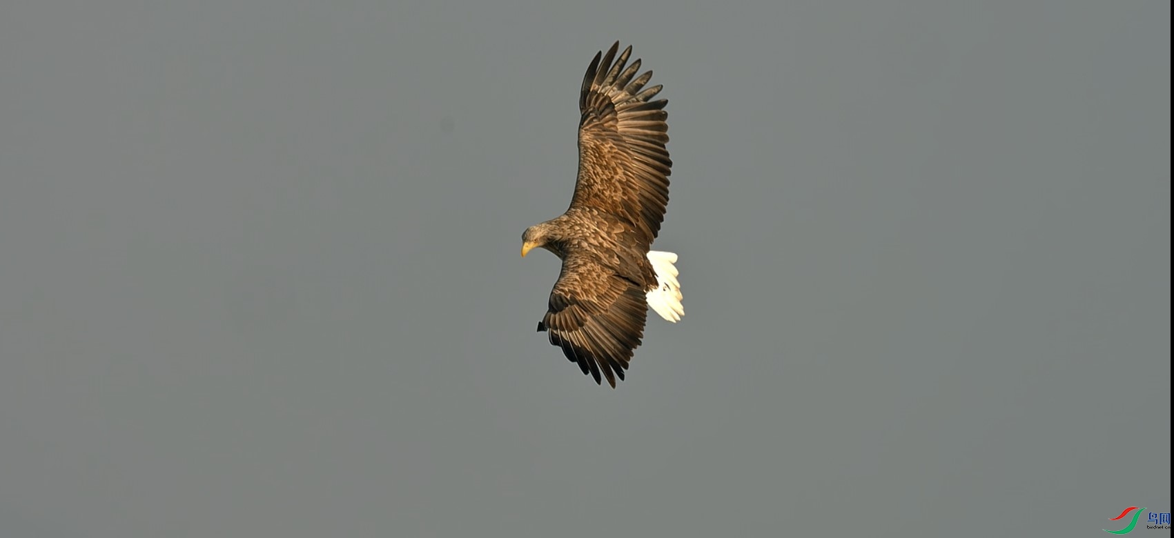 ��Ļ��ͼ 2024-02-14 100214.jpg