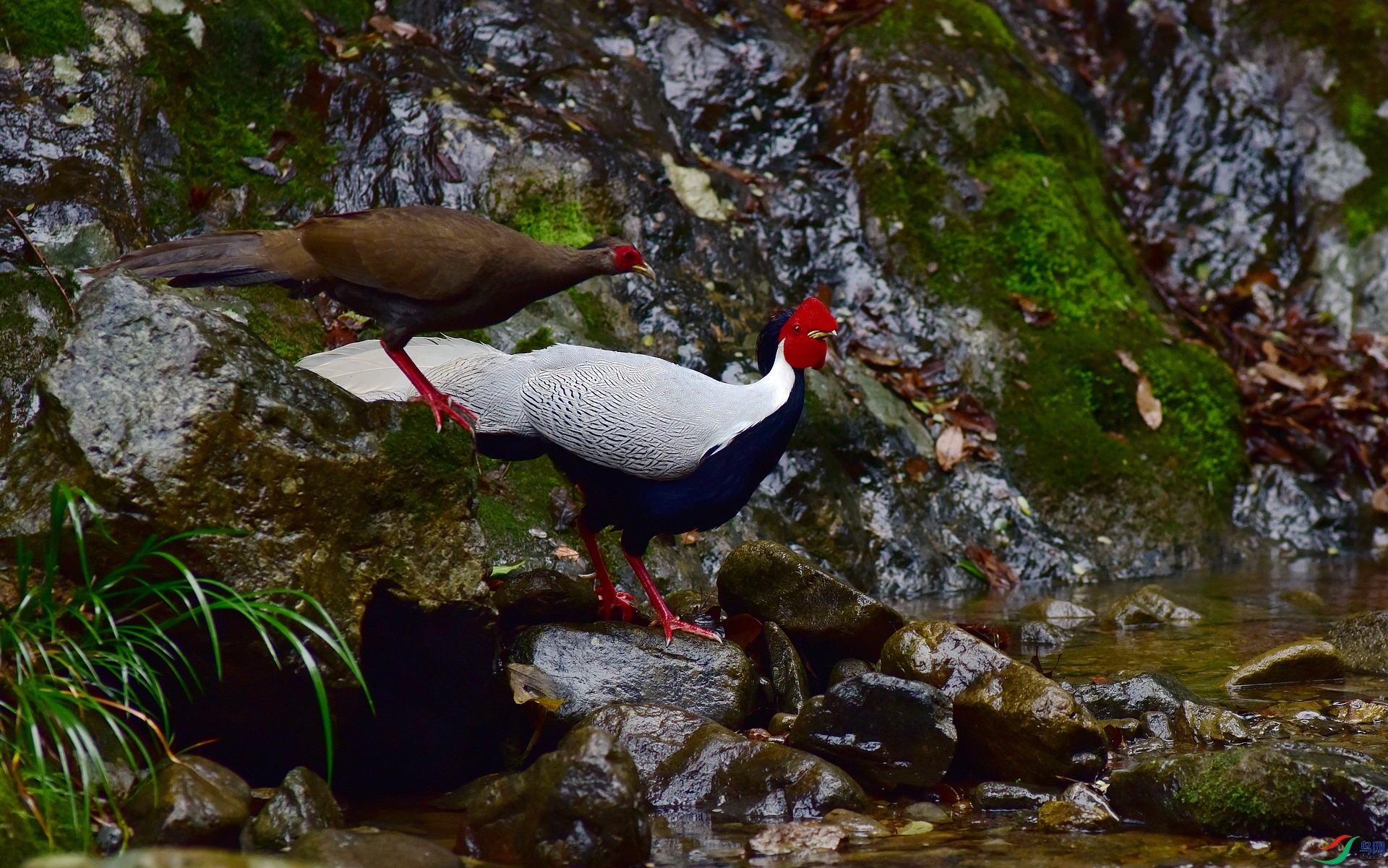 D8I_3970.jpg