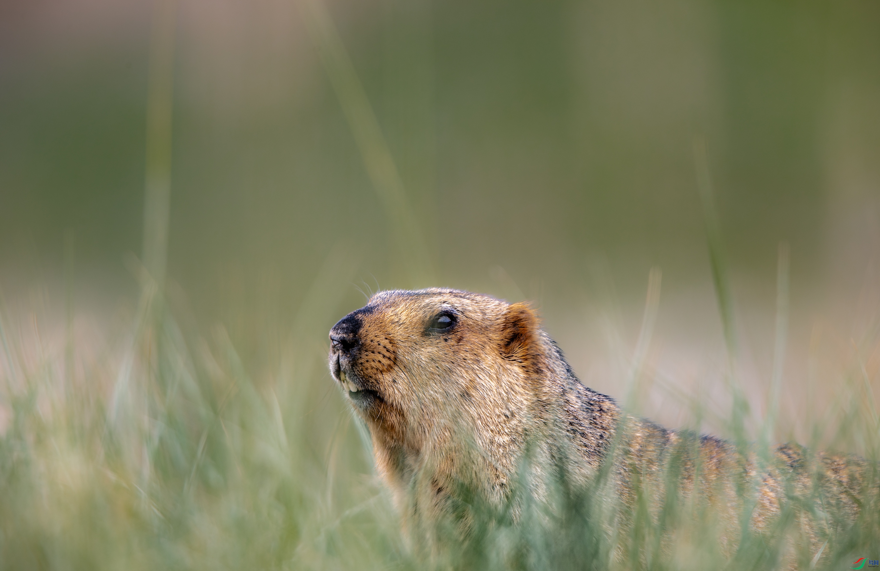 A15I6209- ����.jpg