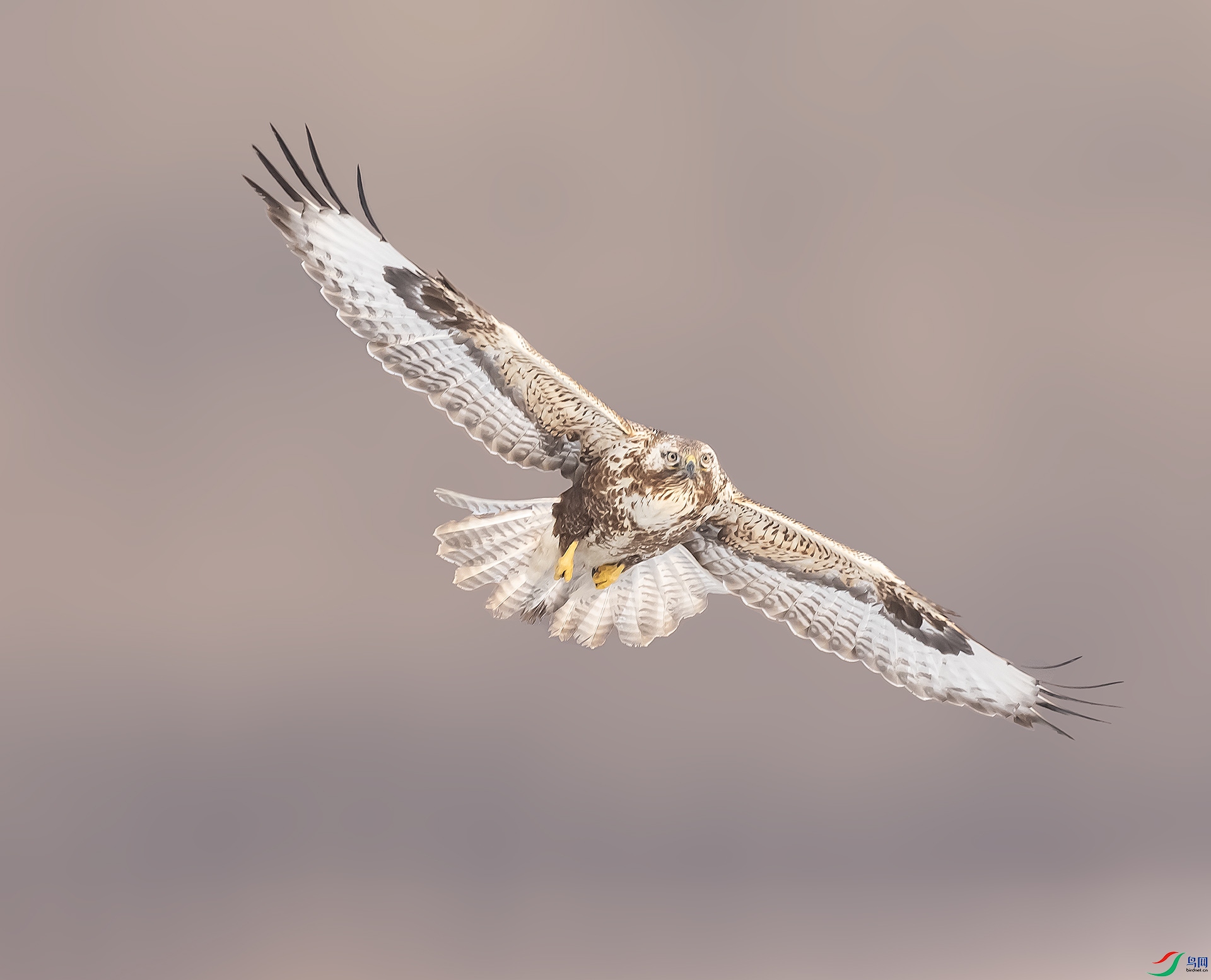 019A5569 ����.jpg