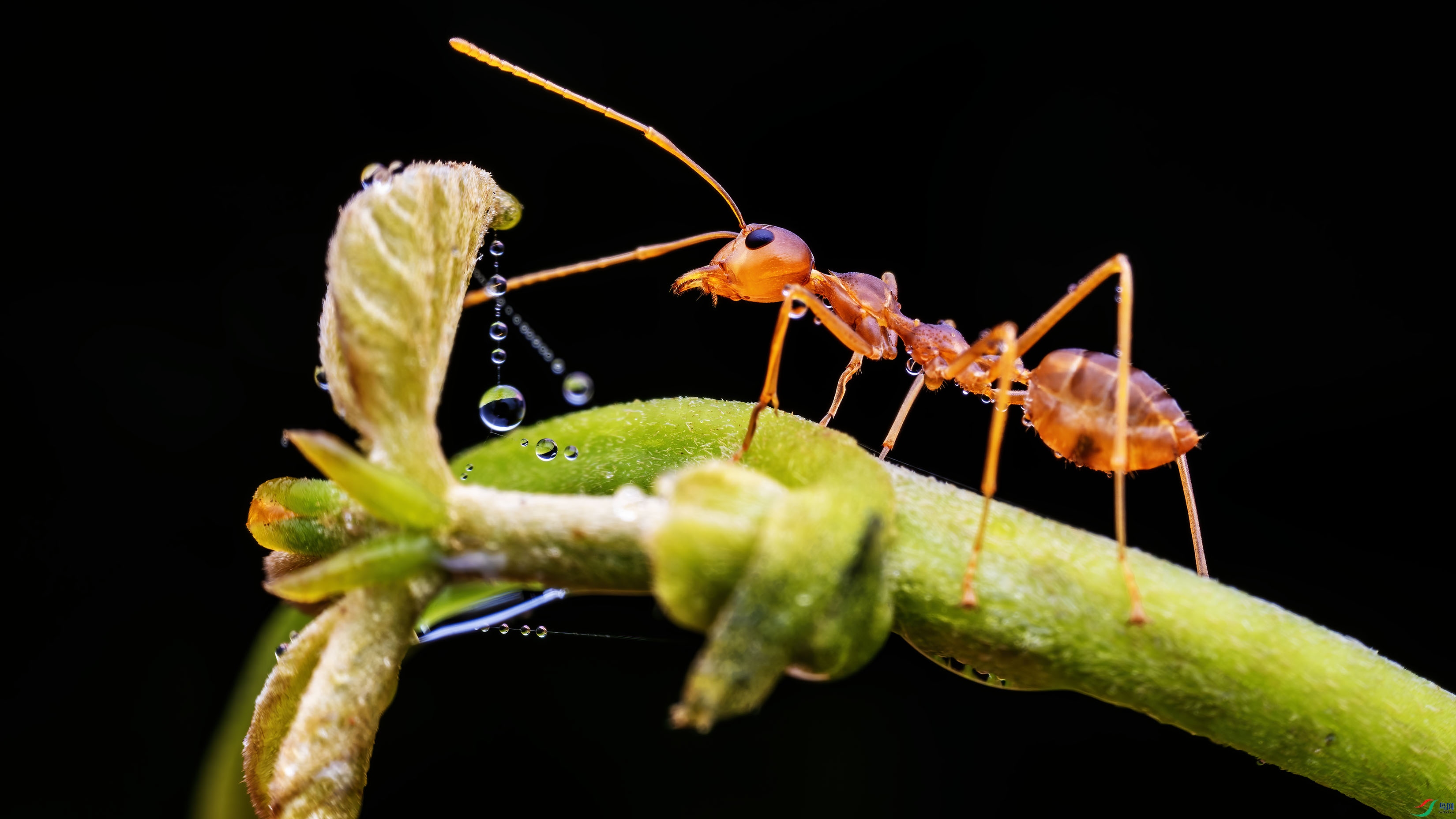 DSC01973 ����.jpg