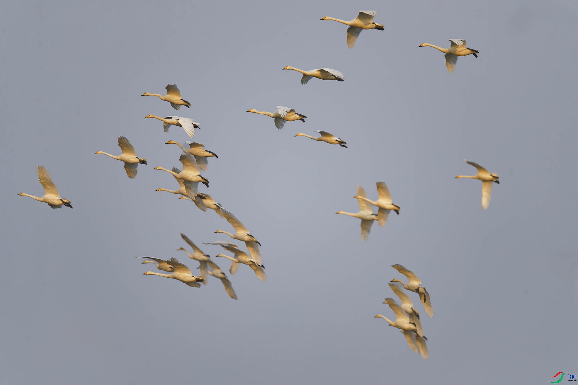 _A4I0157_DxO ����С ����.jpg