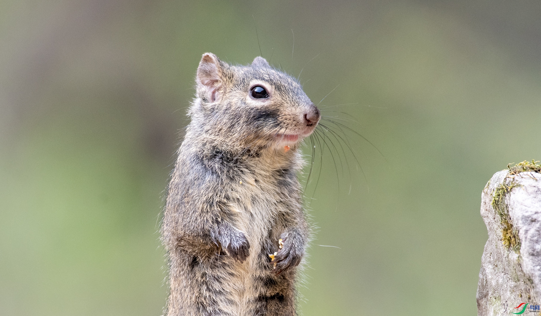 DSC_5061.jpg