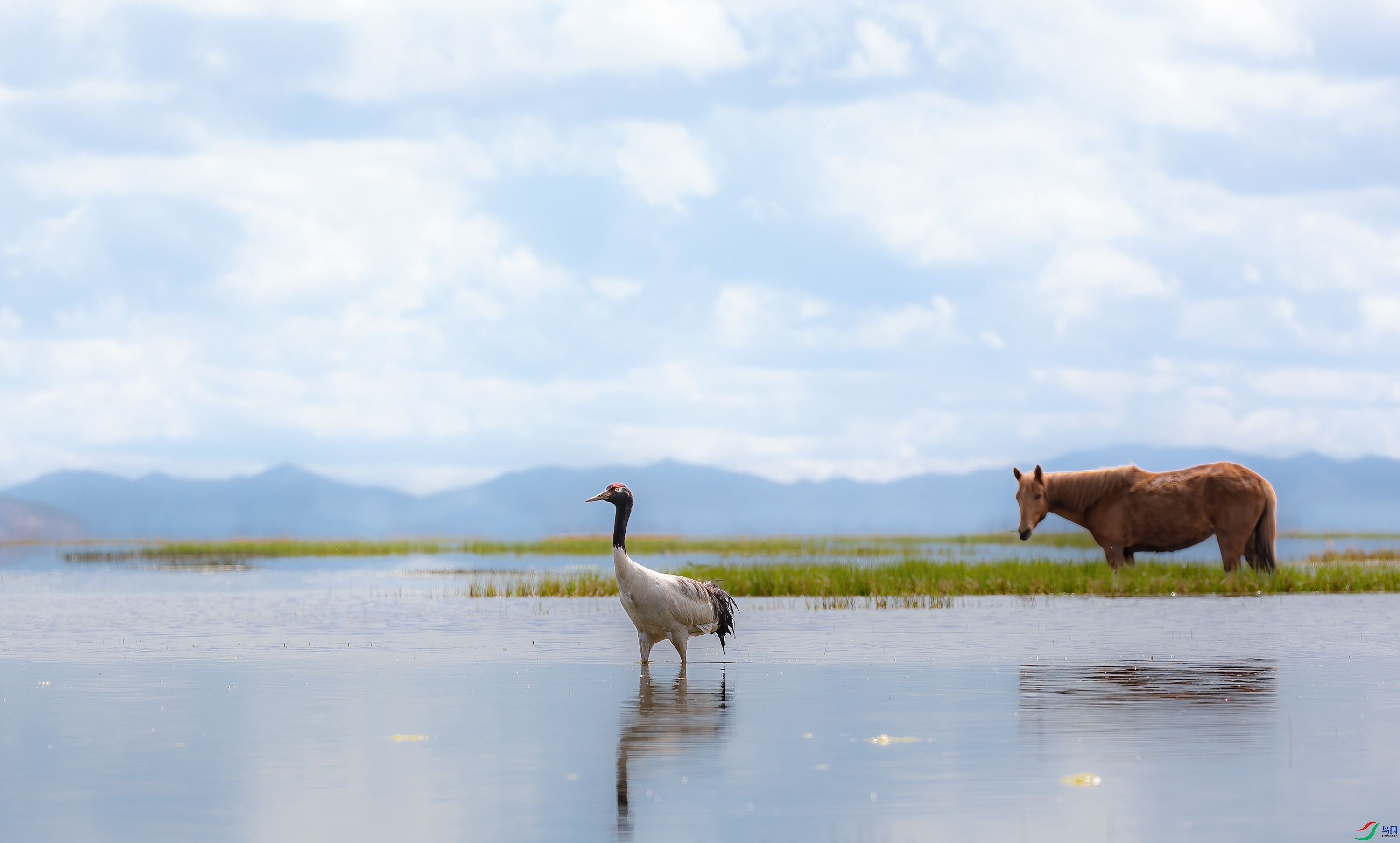 3S5A3781 ����-1.jpg