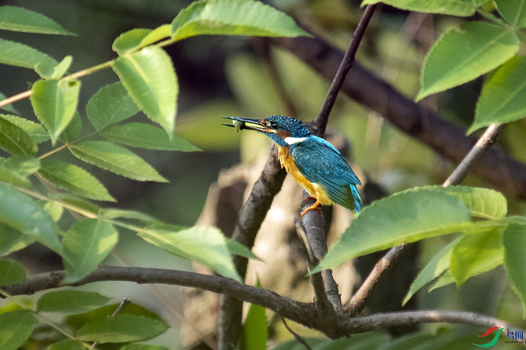 DSC_8435 0.jpg