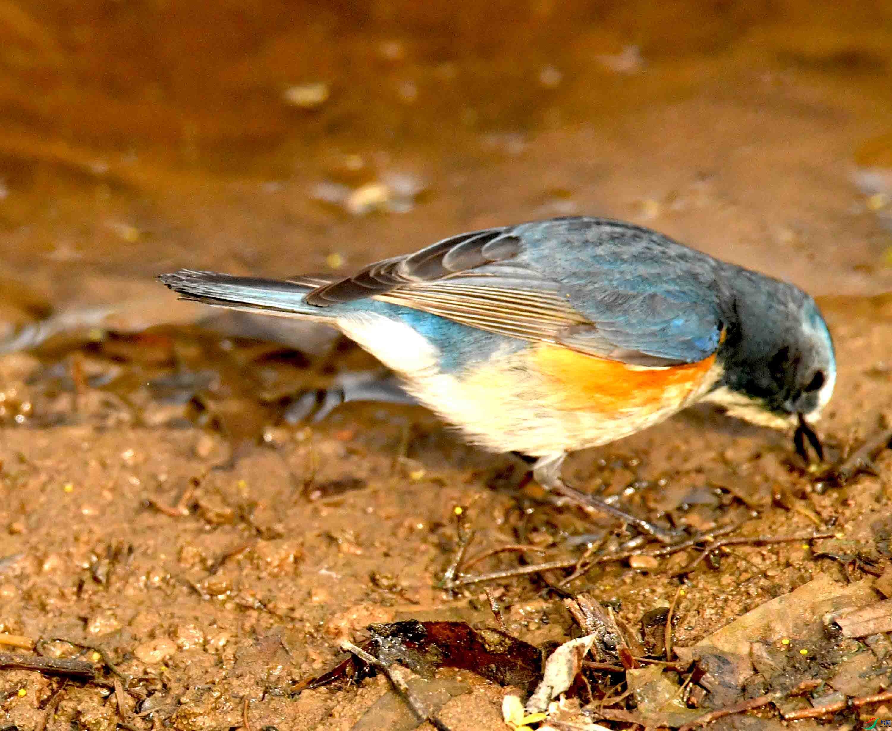 DSC_1653.JPG
