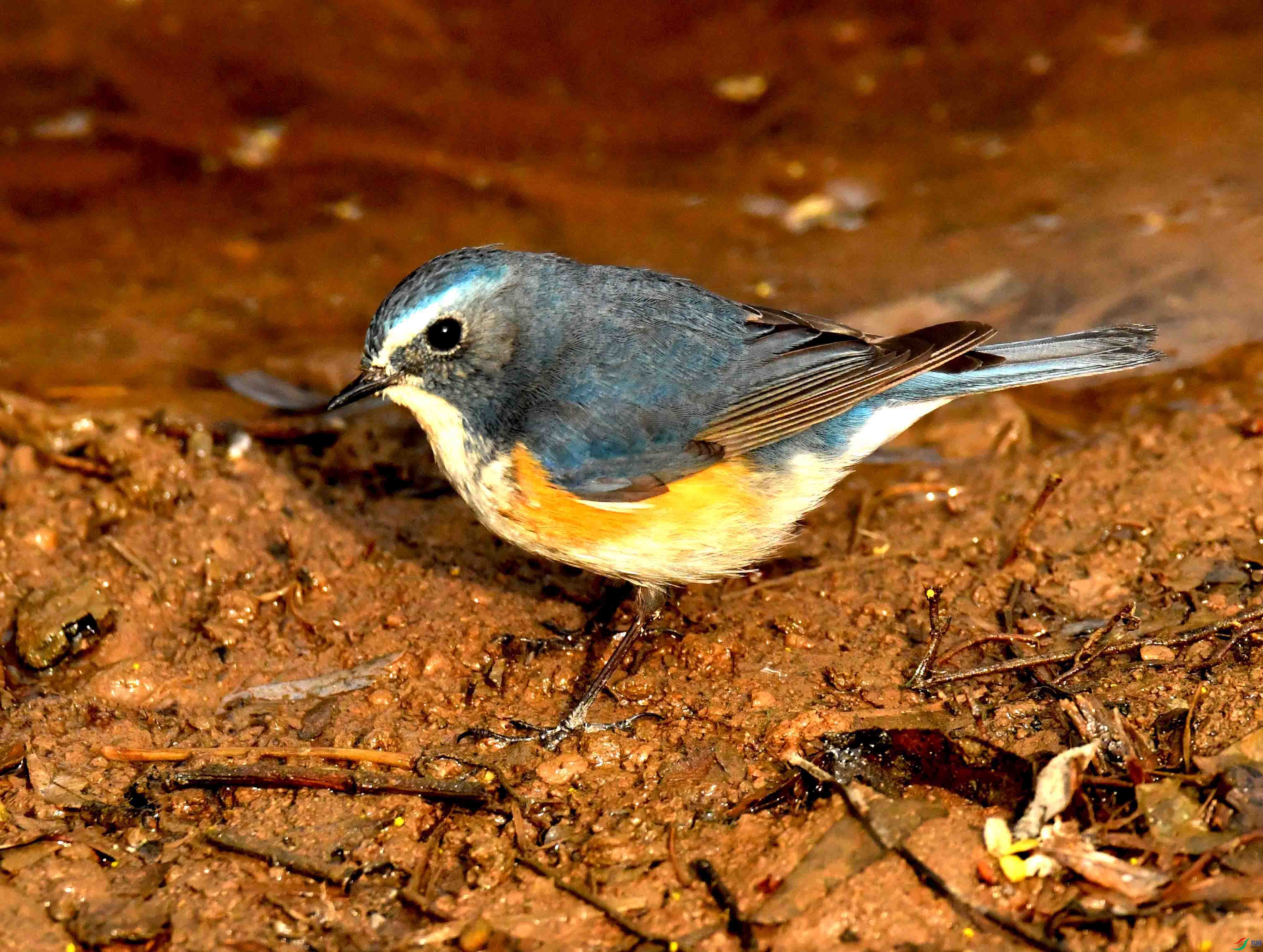 DSC_1666.JPG