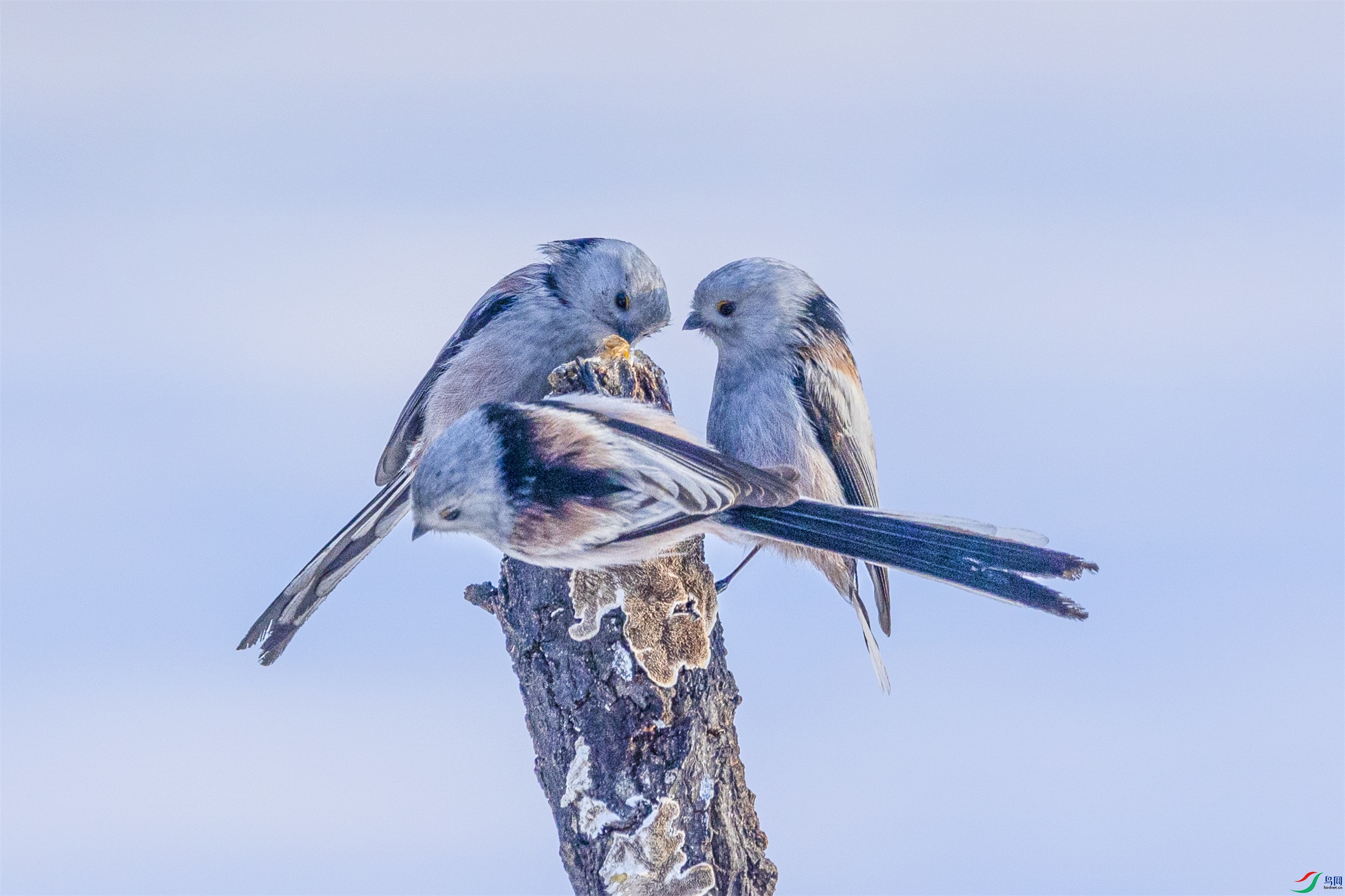 1K3A6628 ����1.jpg