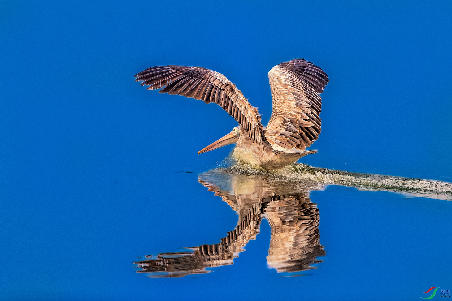 ��������----ǡ�Ʋʵ�ˮ�Ϸ�