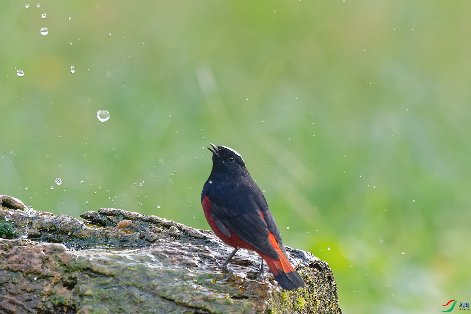 DSC_5900_DxOa.jpg