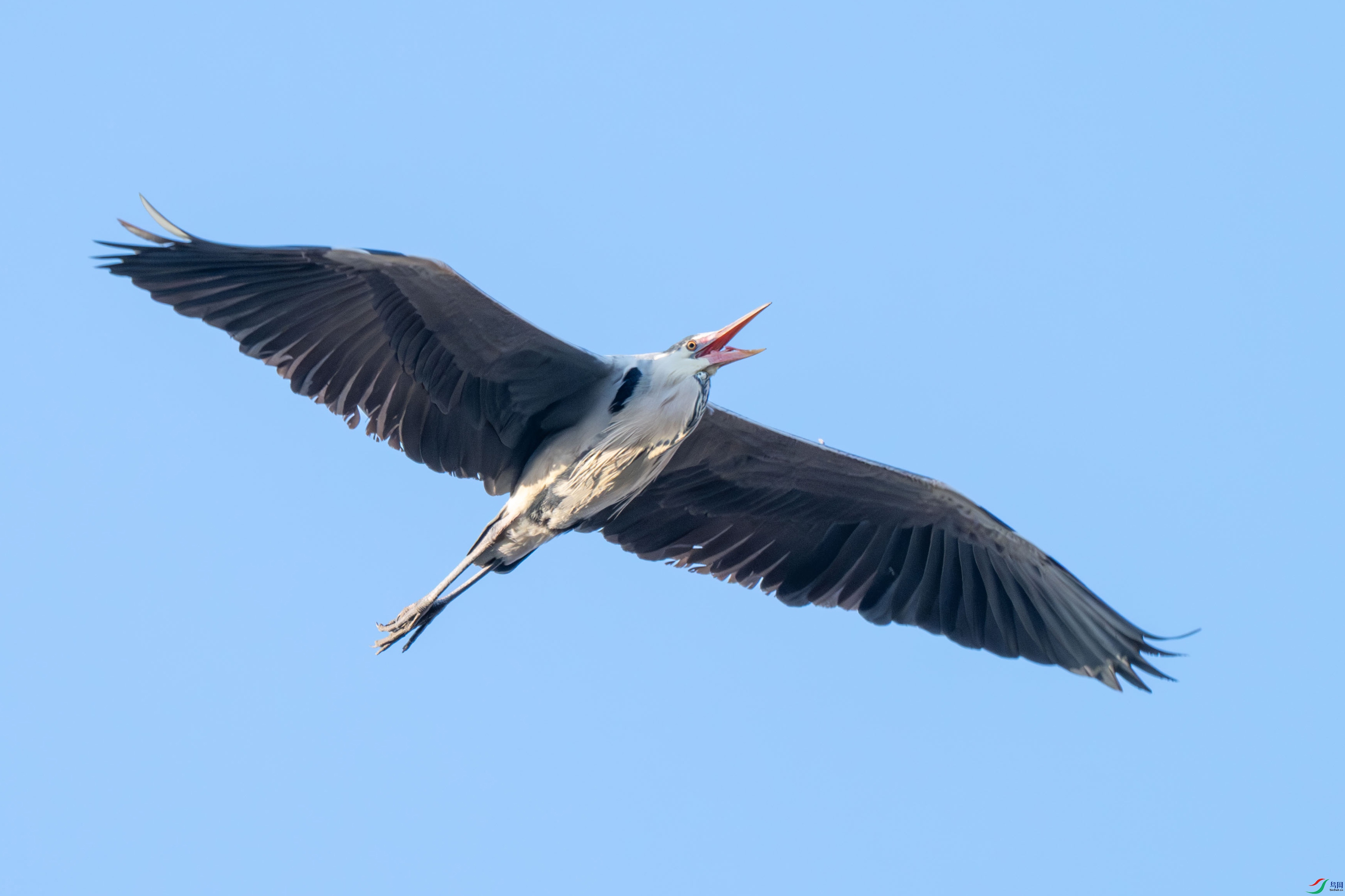 DSC_8669.jpg