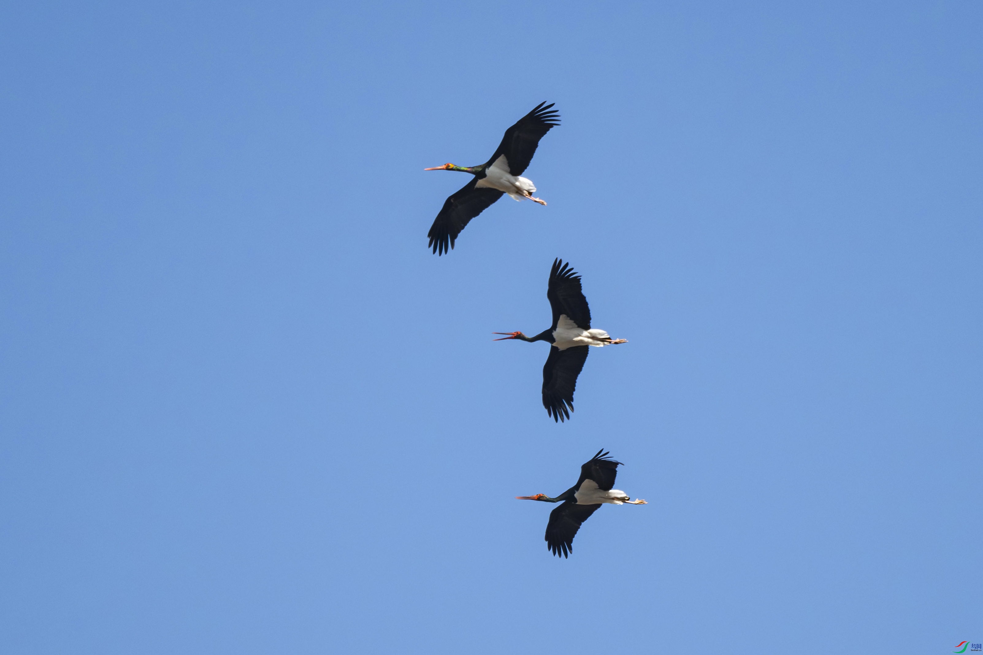 DSC_3156.jpg
