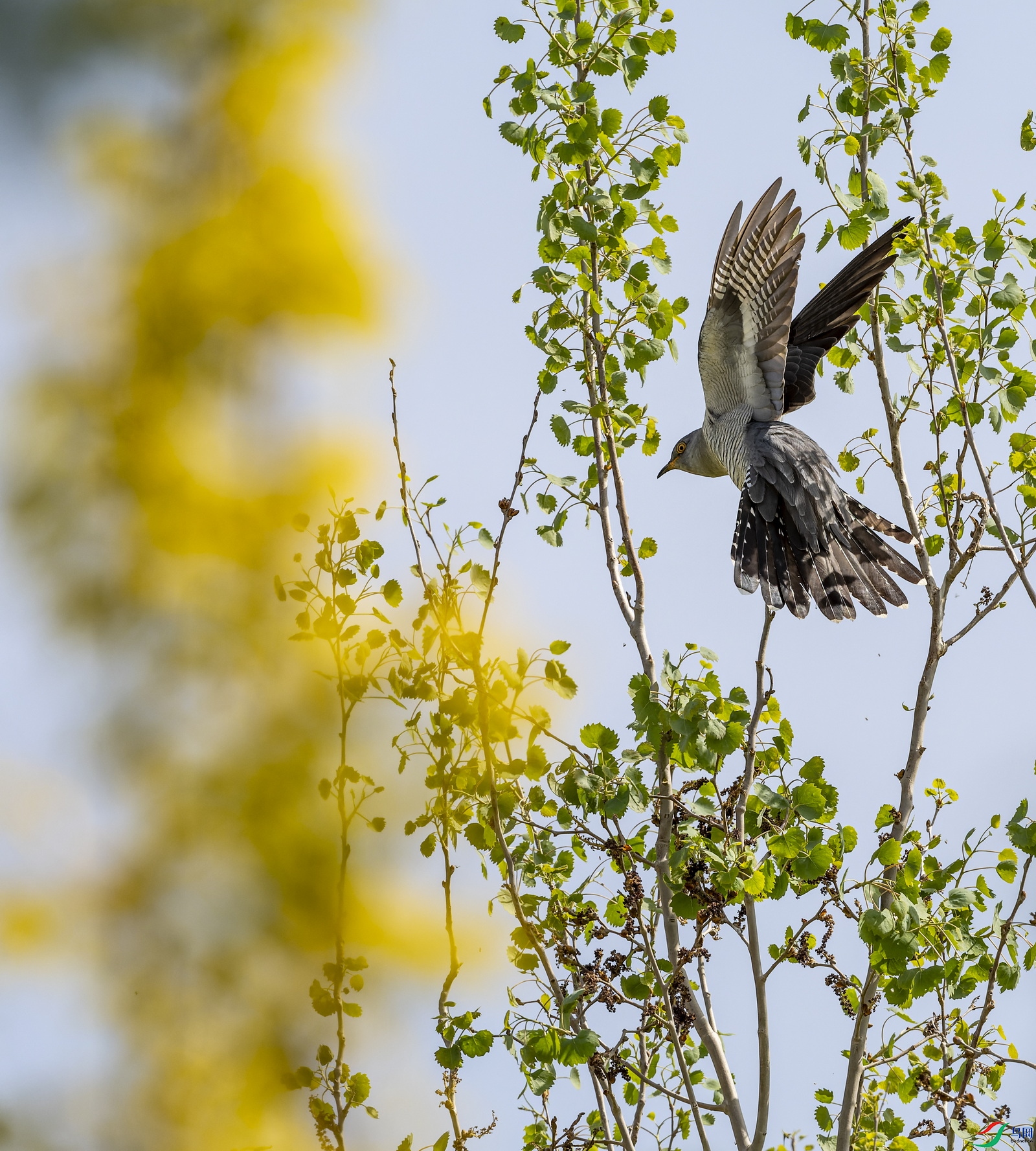 ��ž� (10).jpg