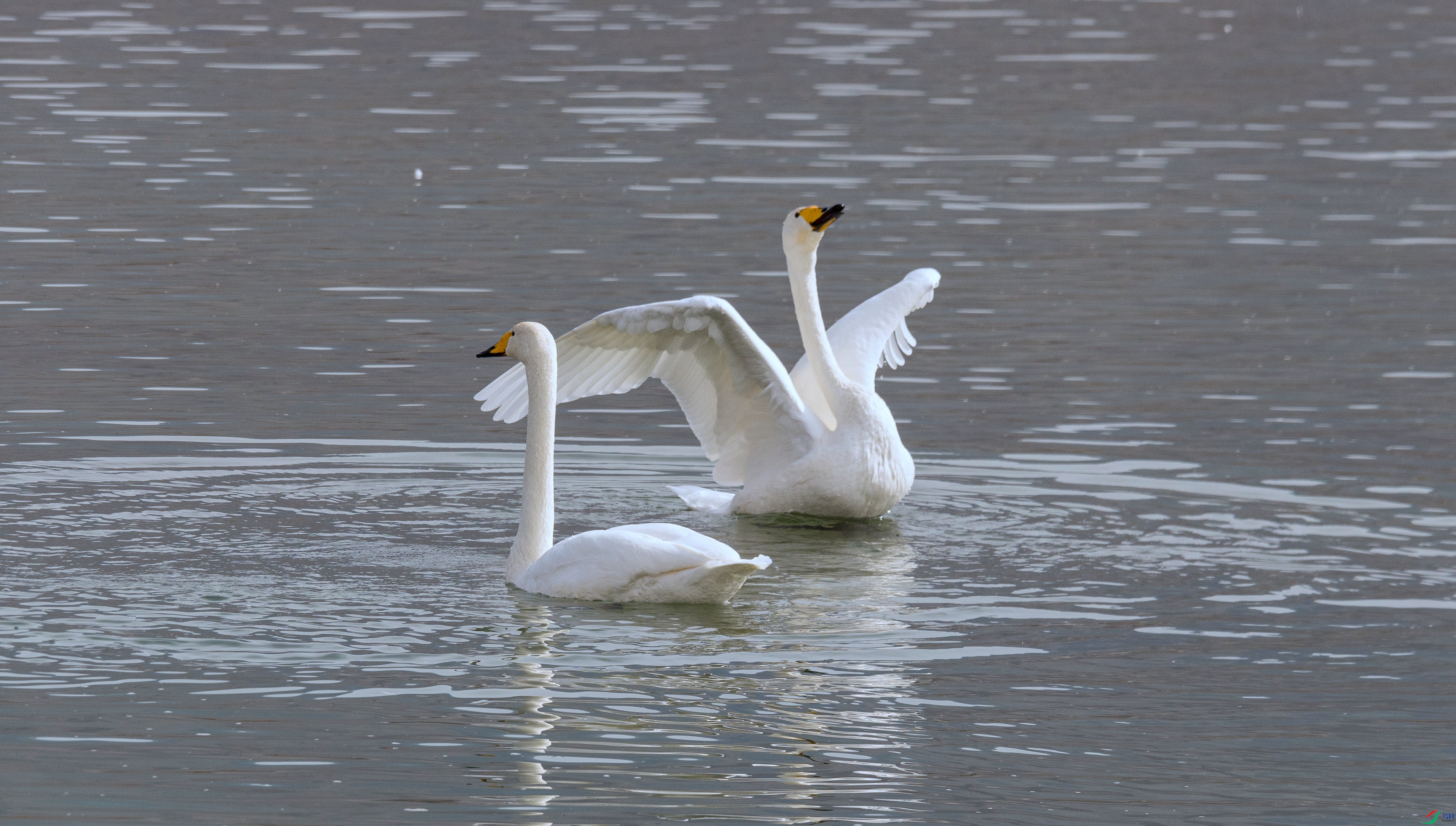 7X5A7602 - ����.jpg