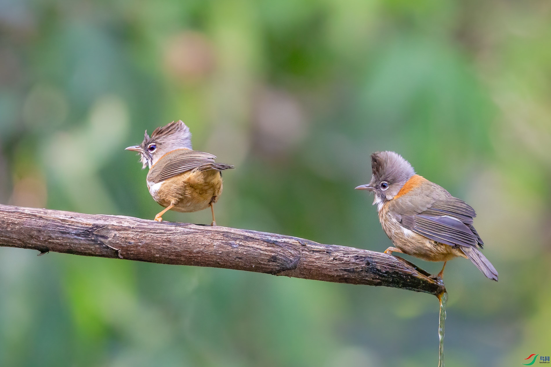 a_45762-1.jpg